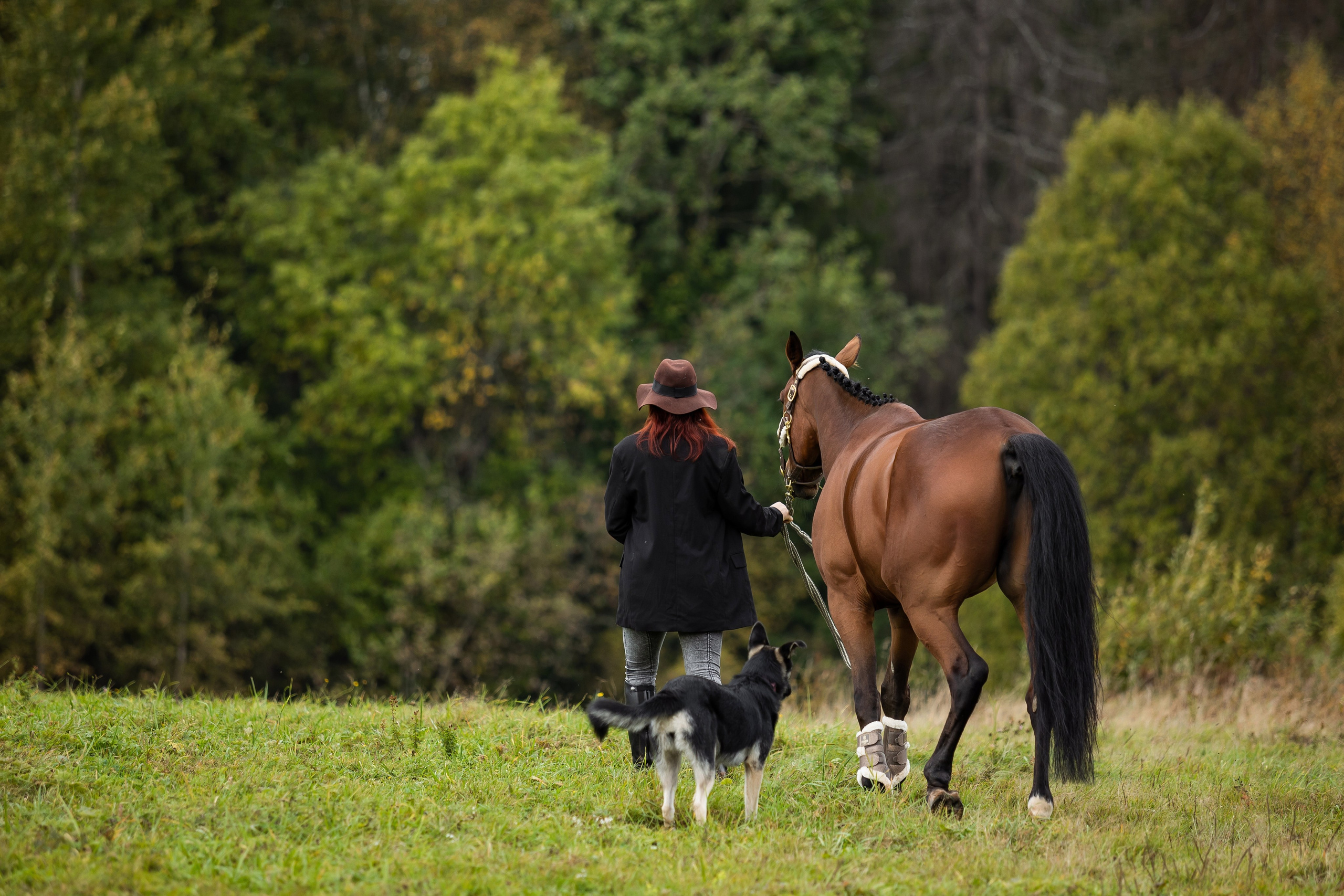 ФОТОСЕССИИ С ЖИВОТНЫМИ. Свадебный фотограф Санкт-Петербург Катерина Ширяева