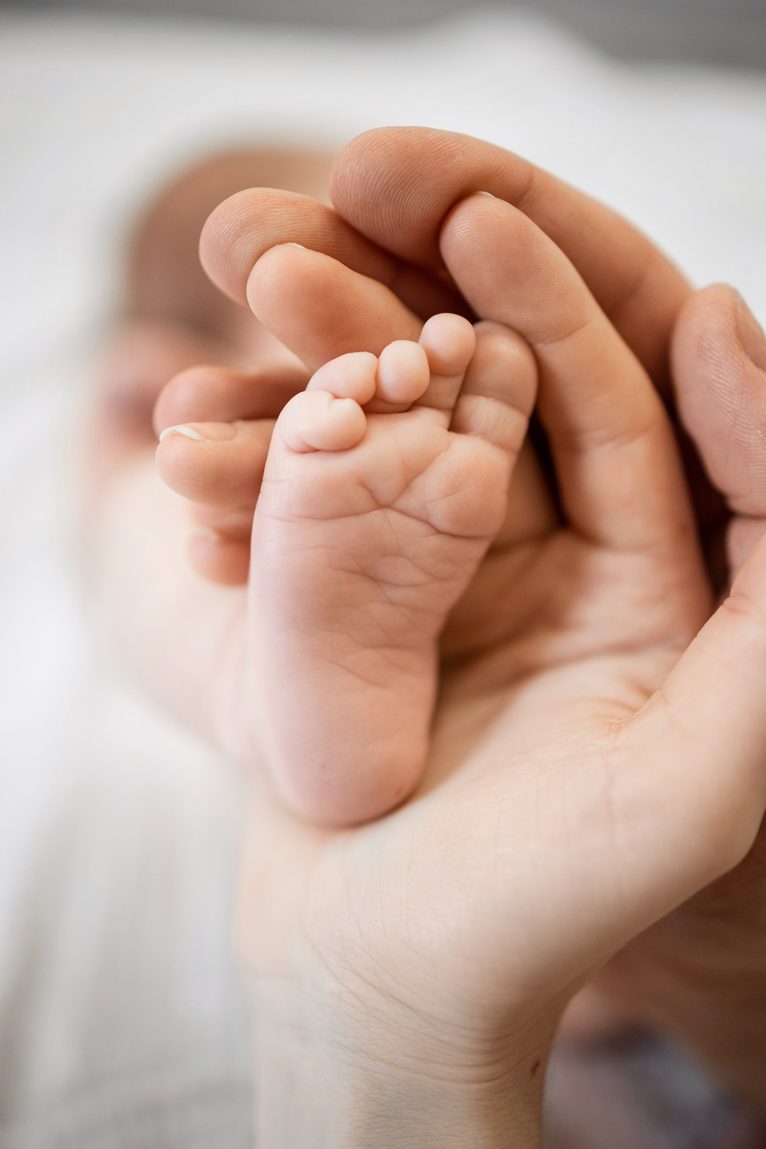 СЕМЬИ. Свадебный фотограф Санкт-Петербург Катерина Ширяева