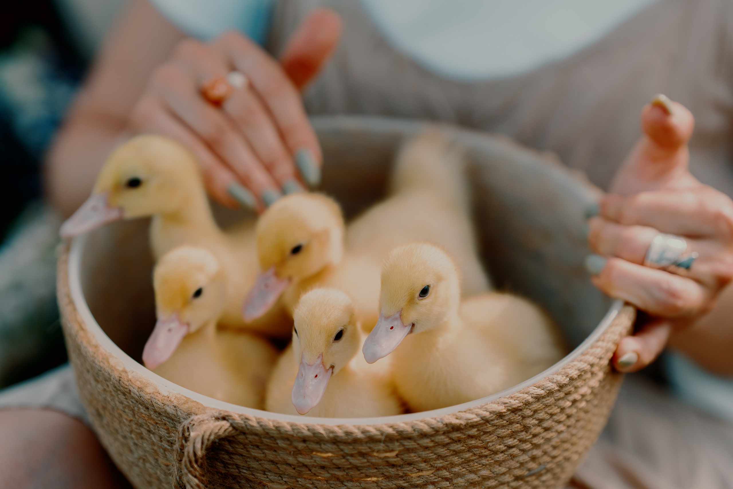 Street. Фотограф Москва