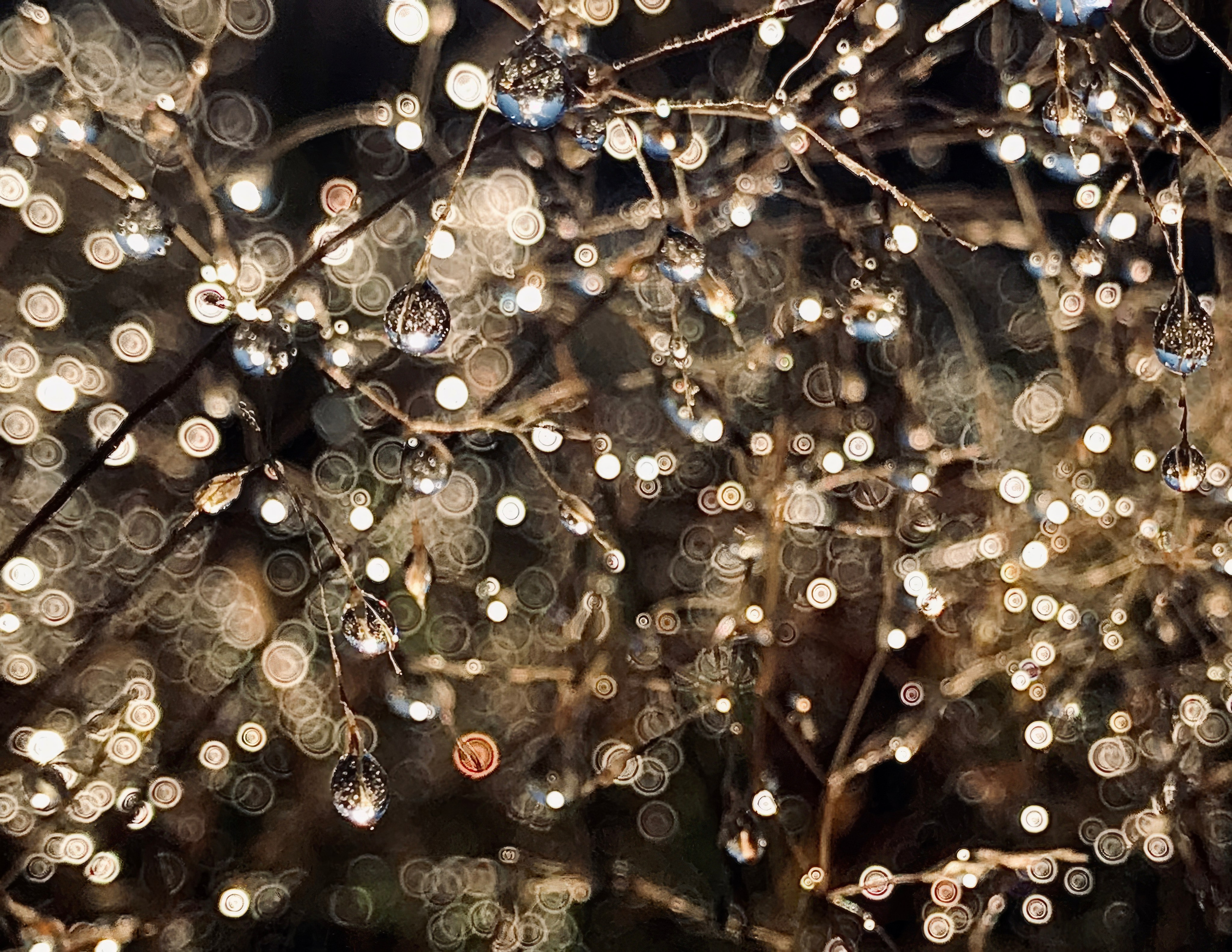 Пейзажи — авторская художественная фотография Ма. Ма