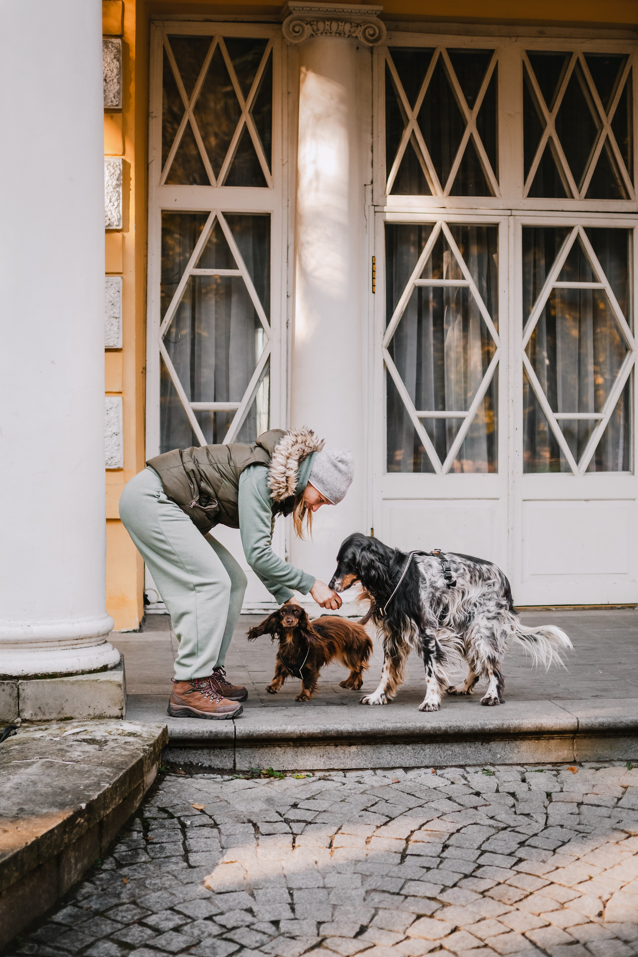 Света, Хайди, Богдана. Фотограф-анималист Татьяна Степанова
