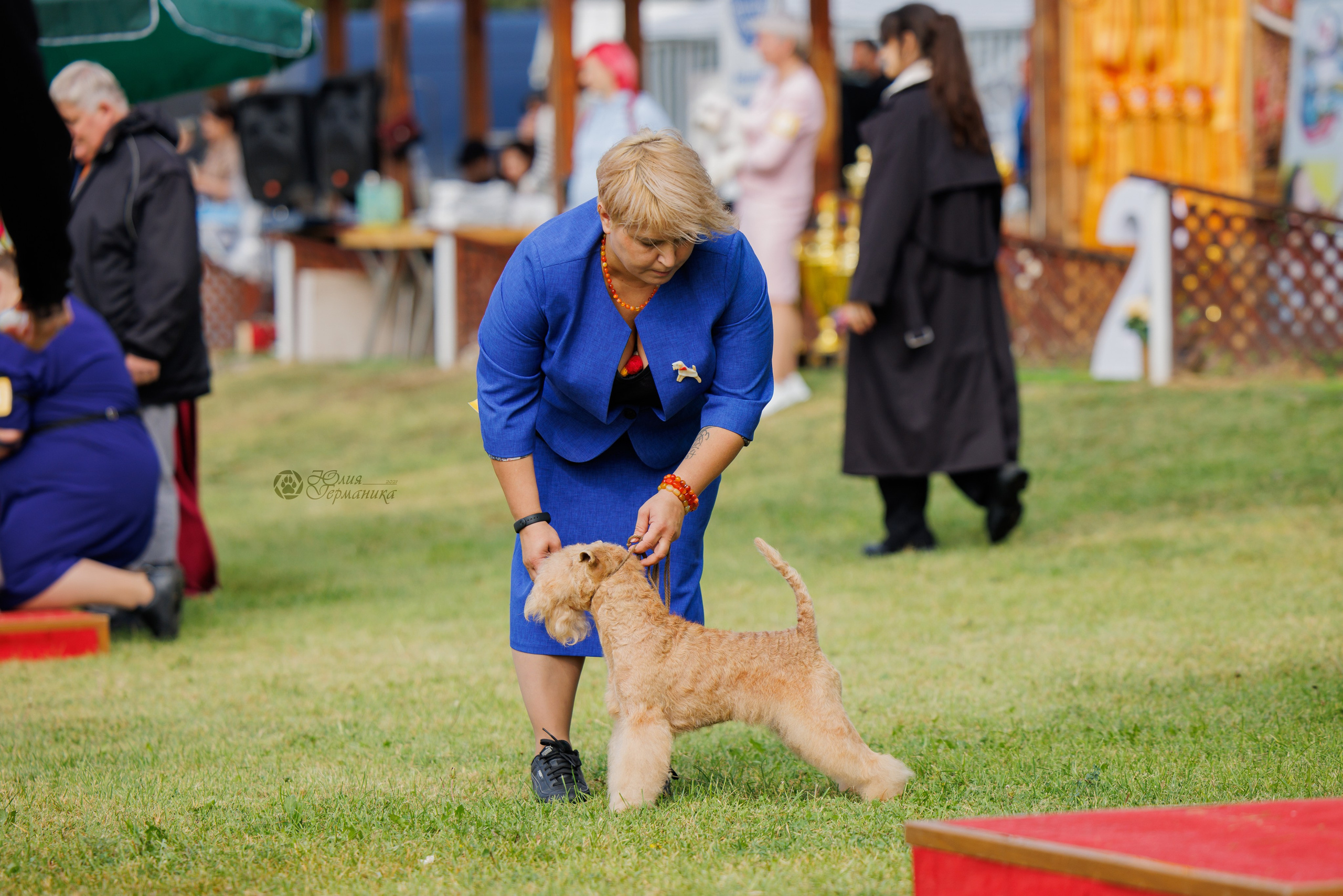 Армения,Ереван 3хCACIB 15-17.10.2024. Фотограф-анималист Юлия Германика