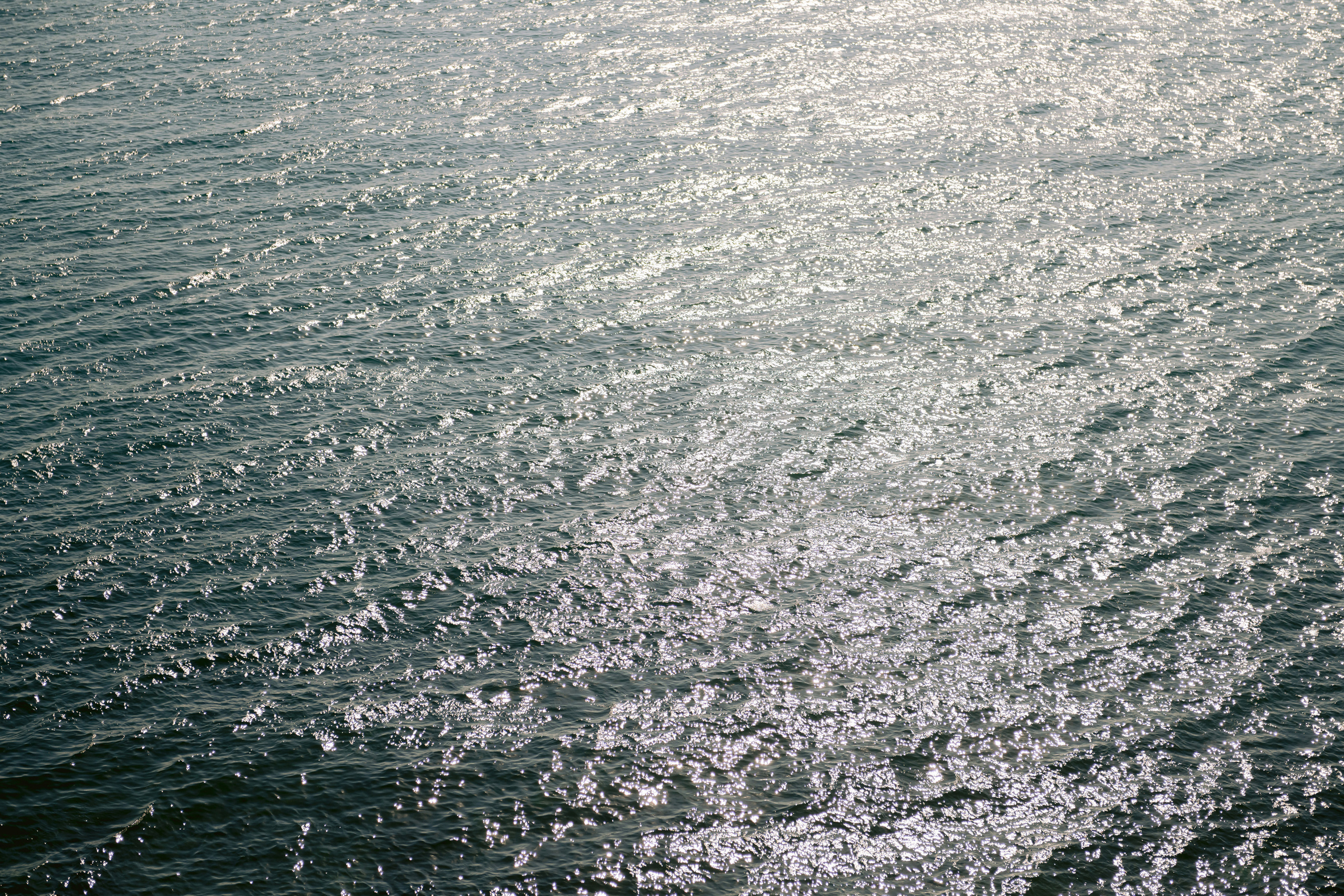 Valeria & Grigory. Свадебный фотограф в Краснодаре