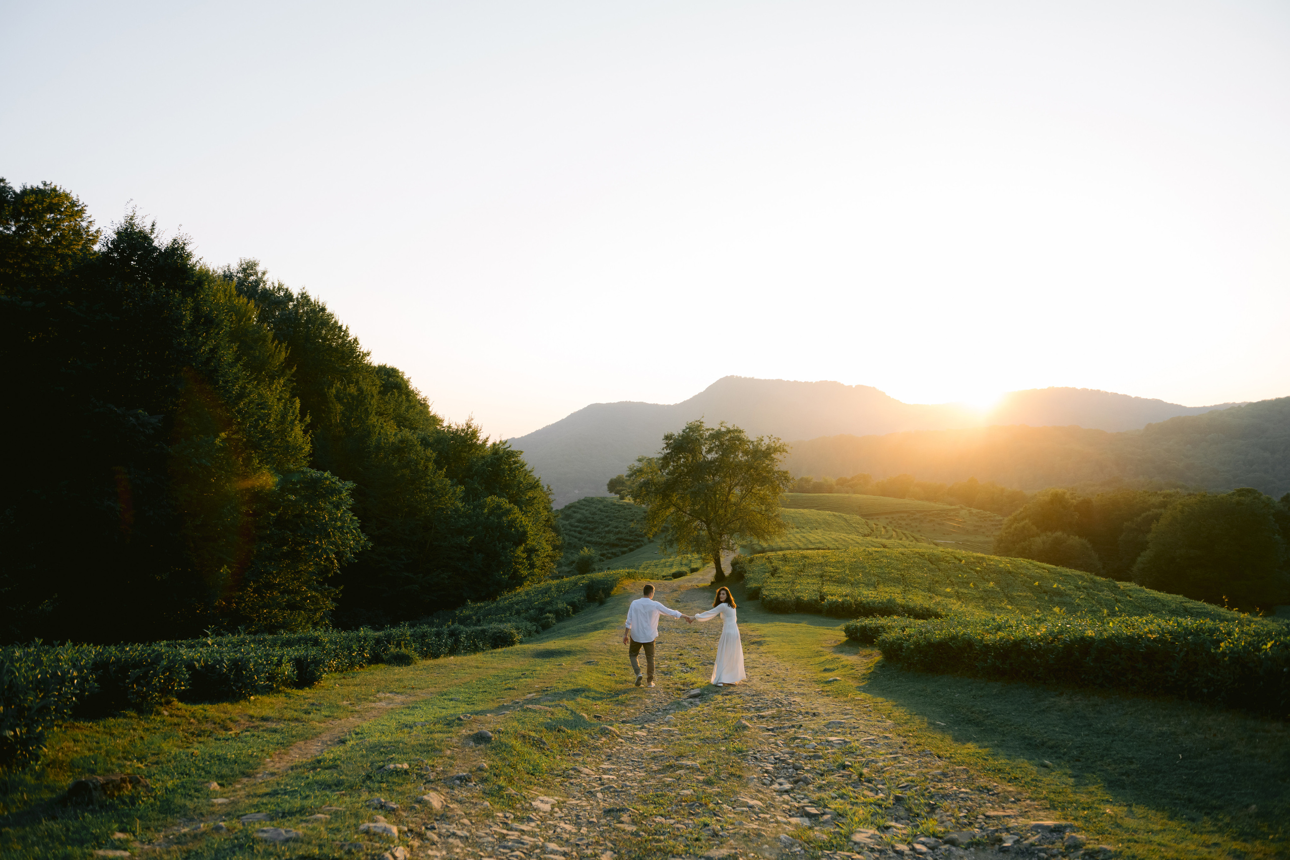 Свадебный фотограф в Краснодаре