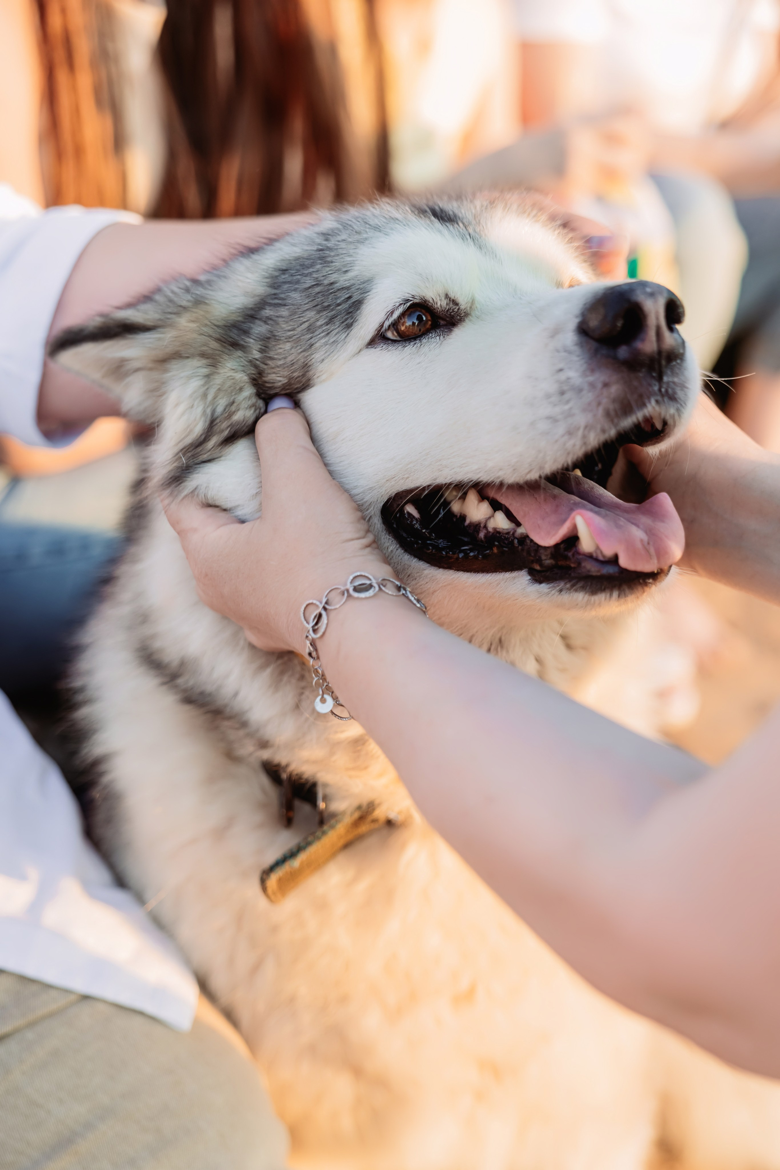 Корпоратив на теплоходе, г. Коломна. ФОТОГРАФ ИРИНА ШАМАТАВА