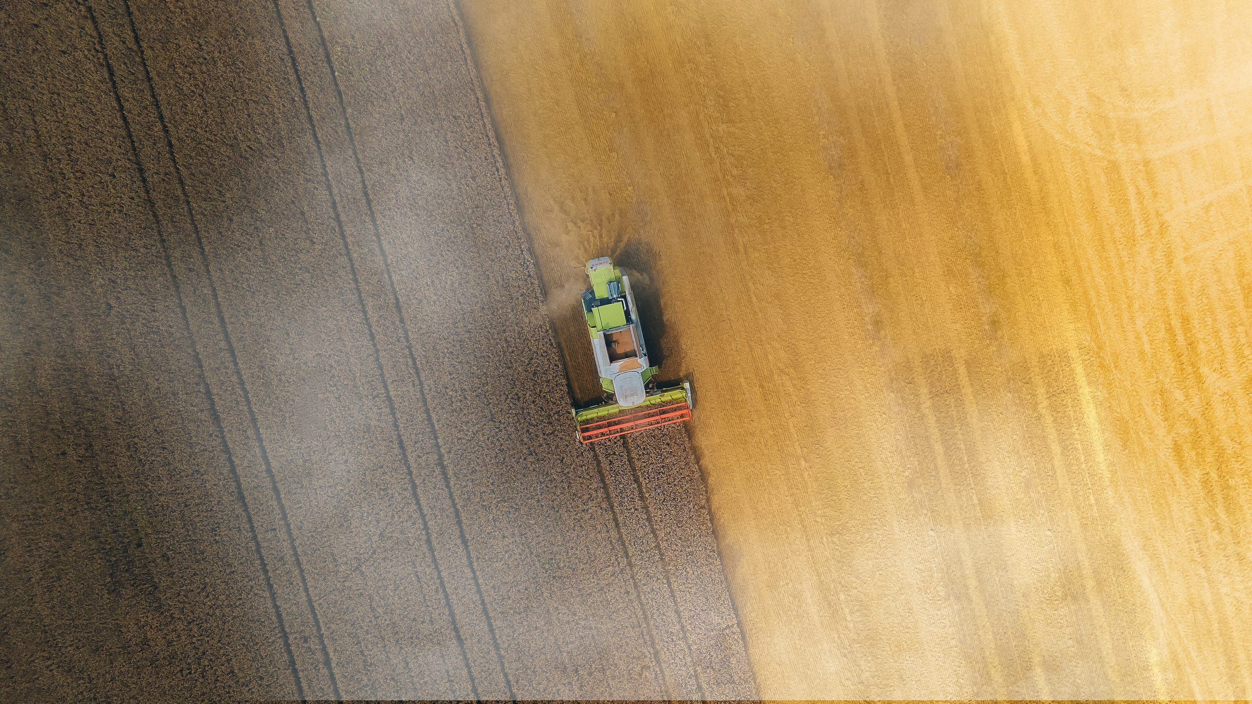 ЛЕГКАЯ ПРОМЫШЛЕННОСТЬ. Режиссёр, клипмейкер, фотограф — Андрей Охота