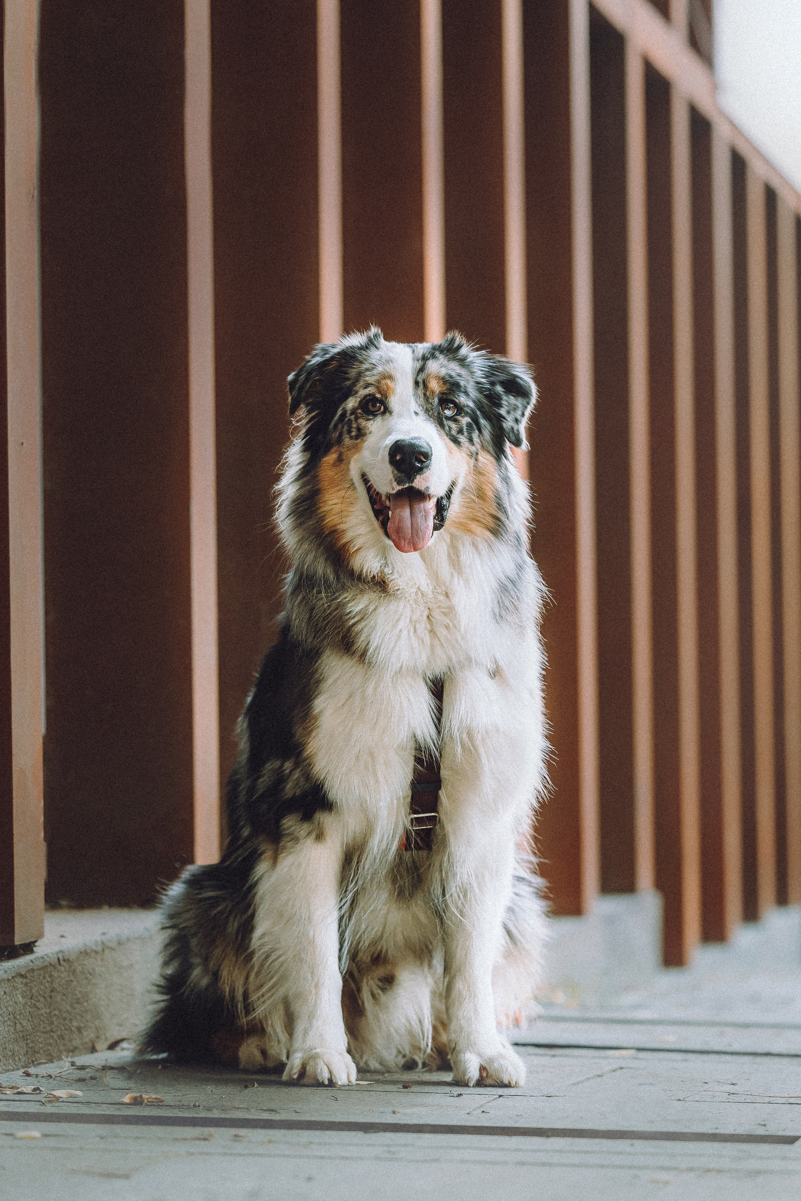 Саша, Рома и Один