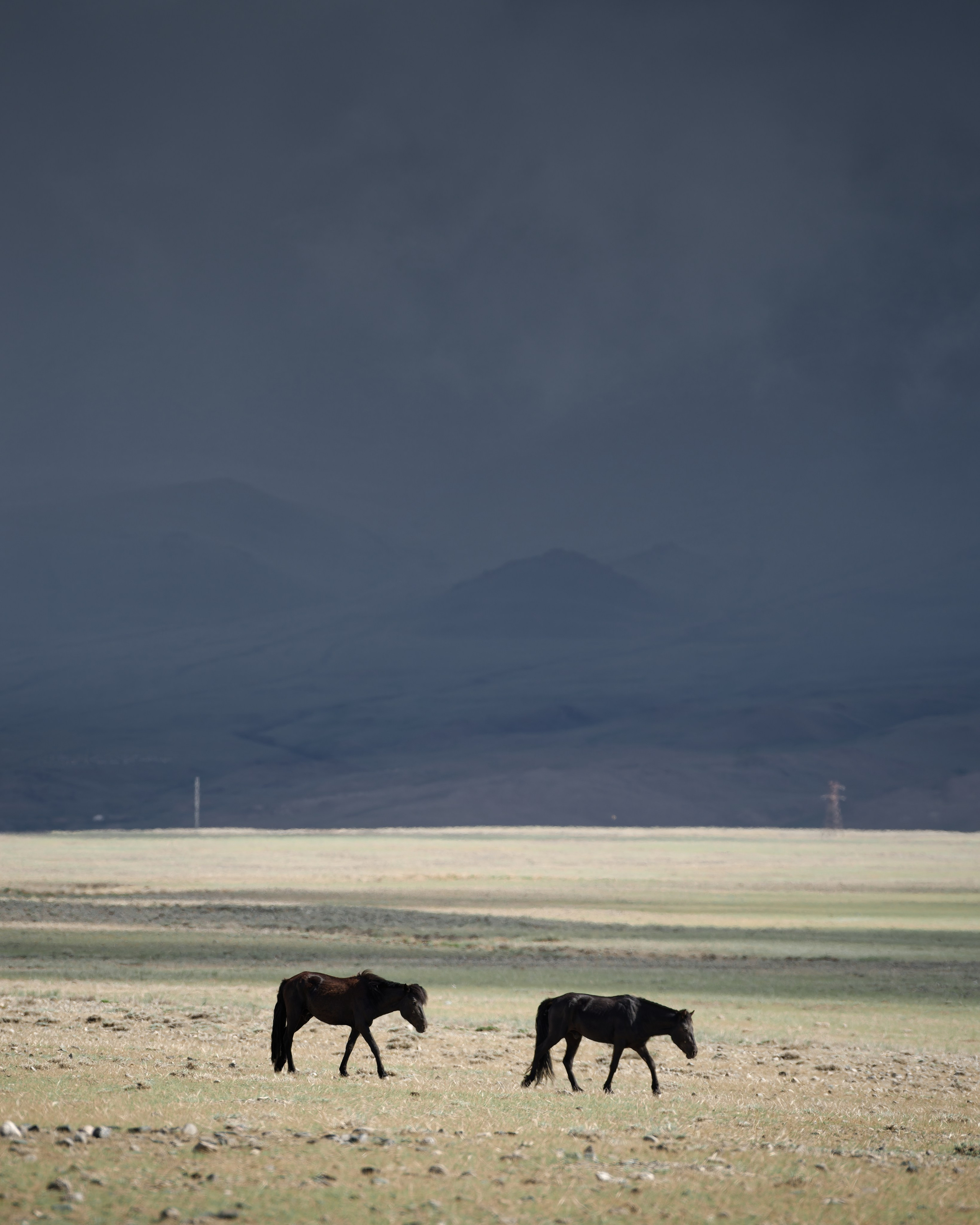 Экспедиция в Монголию (Гоби). Семоха Валерий. Фотограф