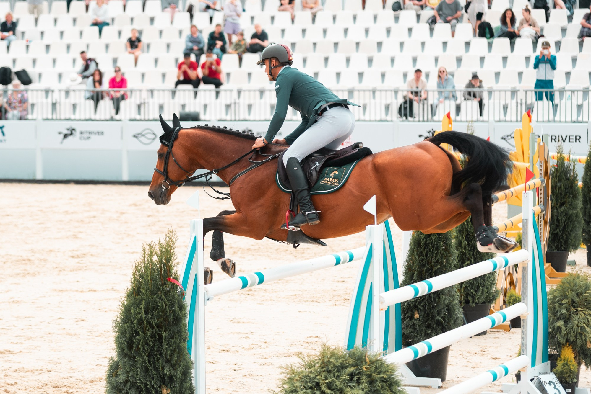 BITRIVER CUP 2023. Конный фотограф Куракина Дарья • Фотосессии с лошадьми