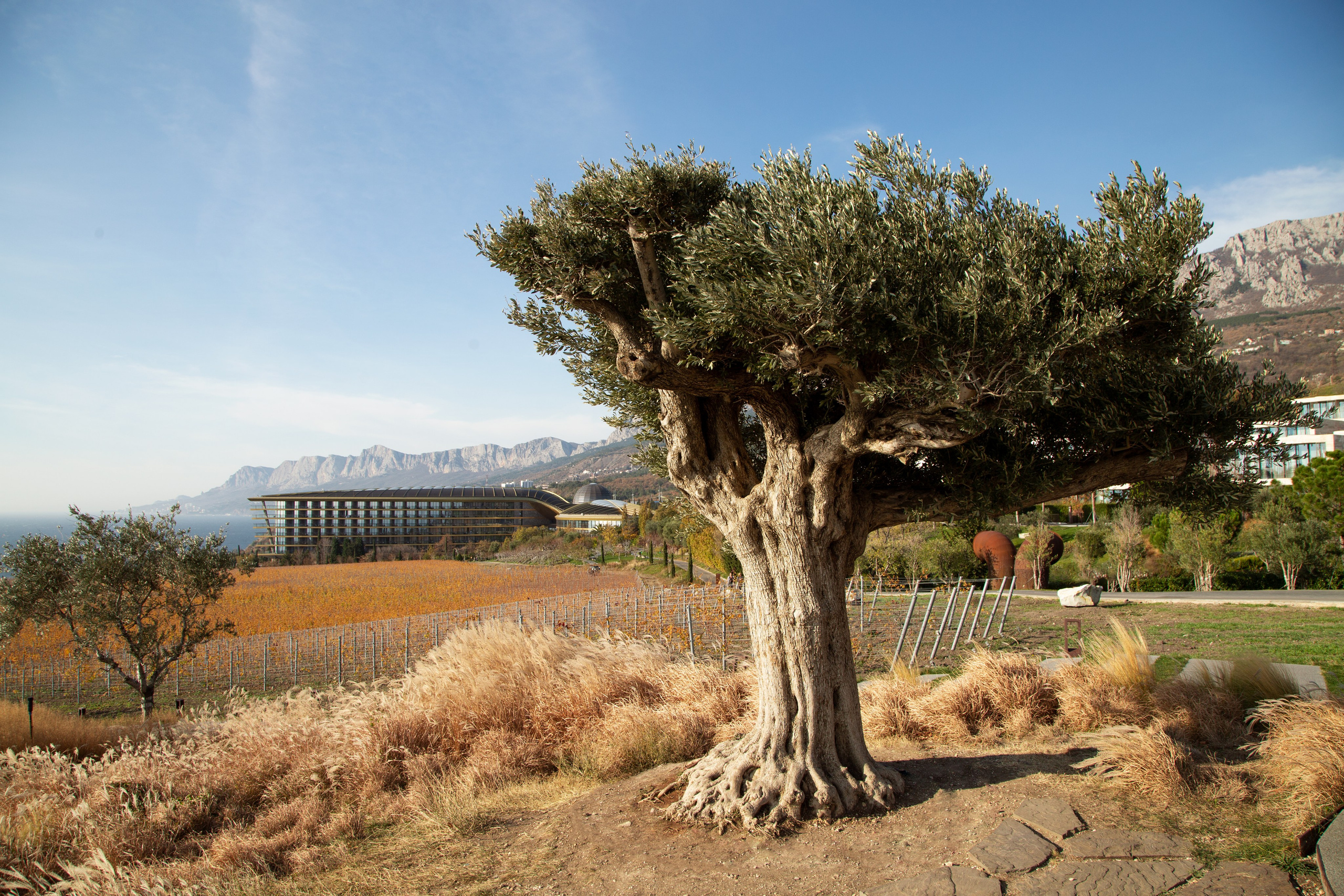 Контент Крым