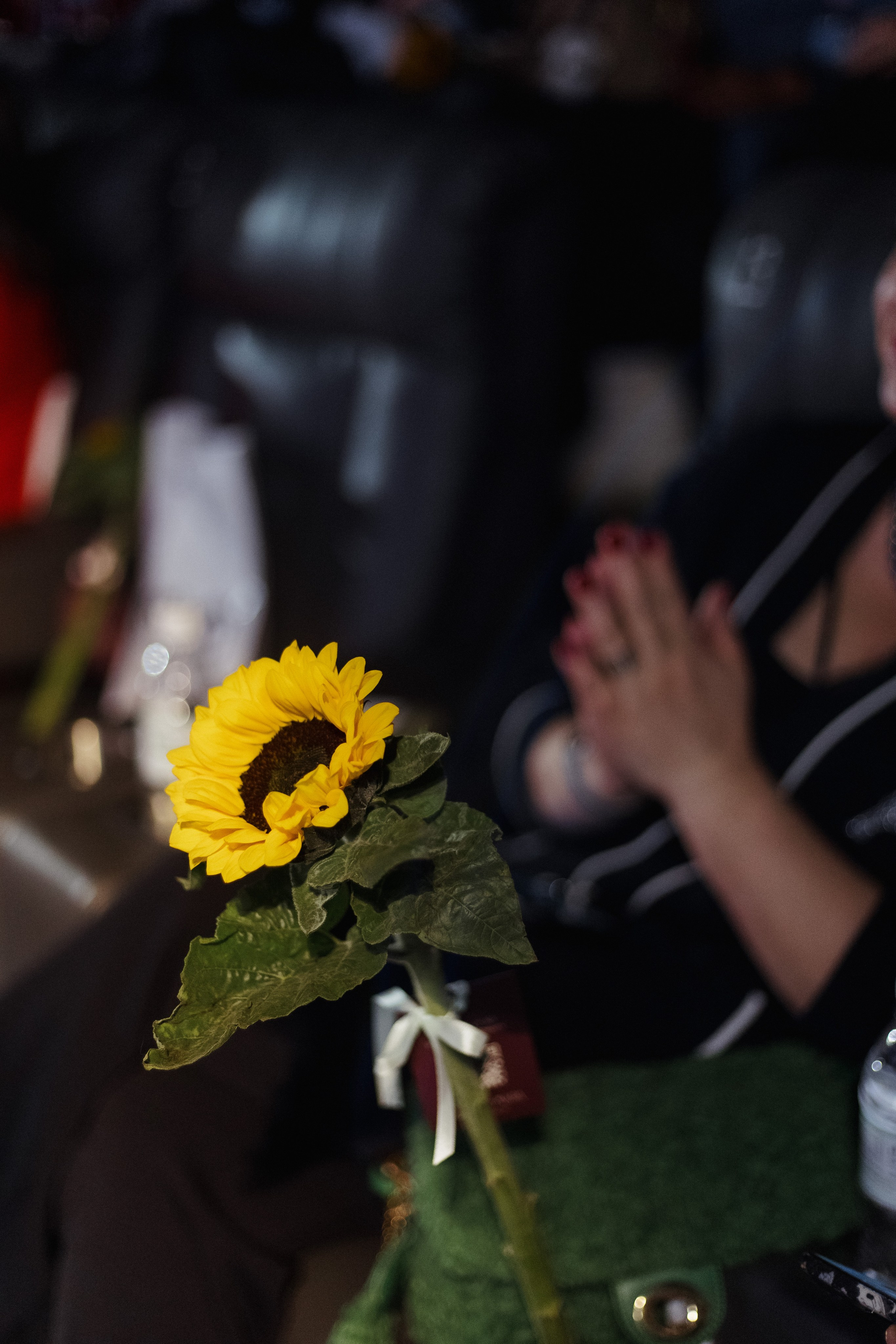 ФЭШН КОНФА. СВОИ. ФОТООТЧЕТЫ-СОБЫТИЯ-МЕСТА