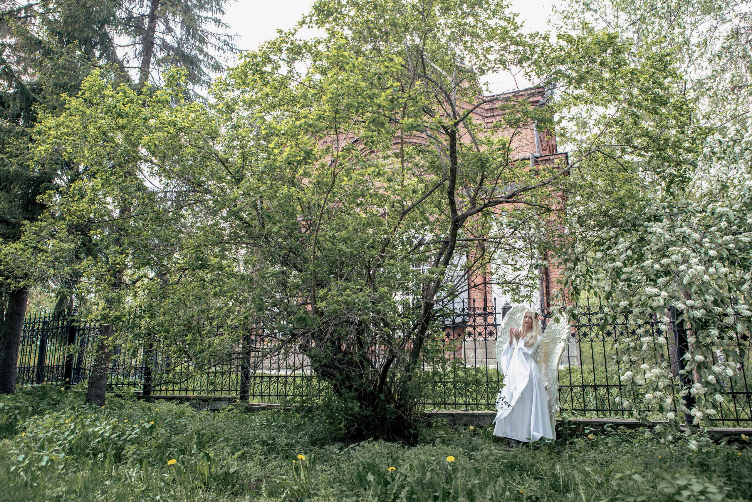 Майское цветение. Фотограф Екатерина Голицына