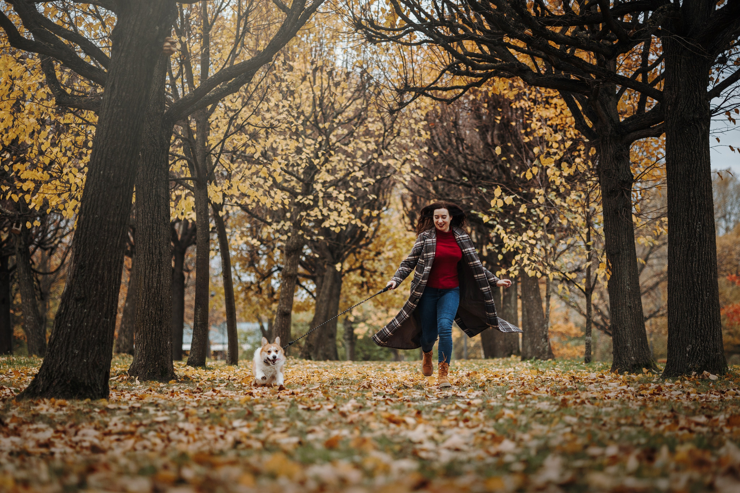 Юля и Терри. Фотограф — Анималист | Санкт-Петербург
