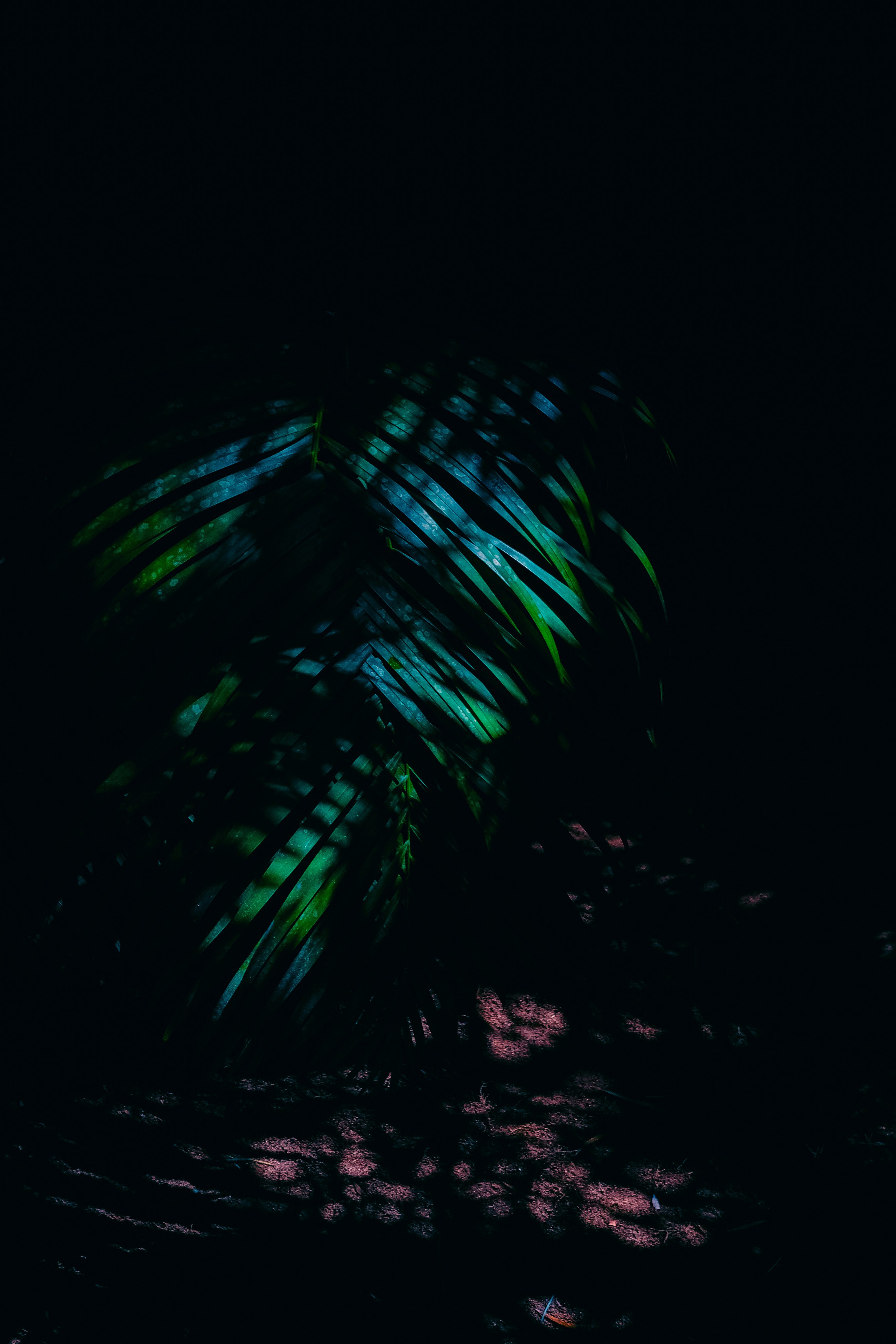 Шри-Ланка. Фотограф Алиса Аспер