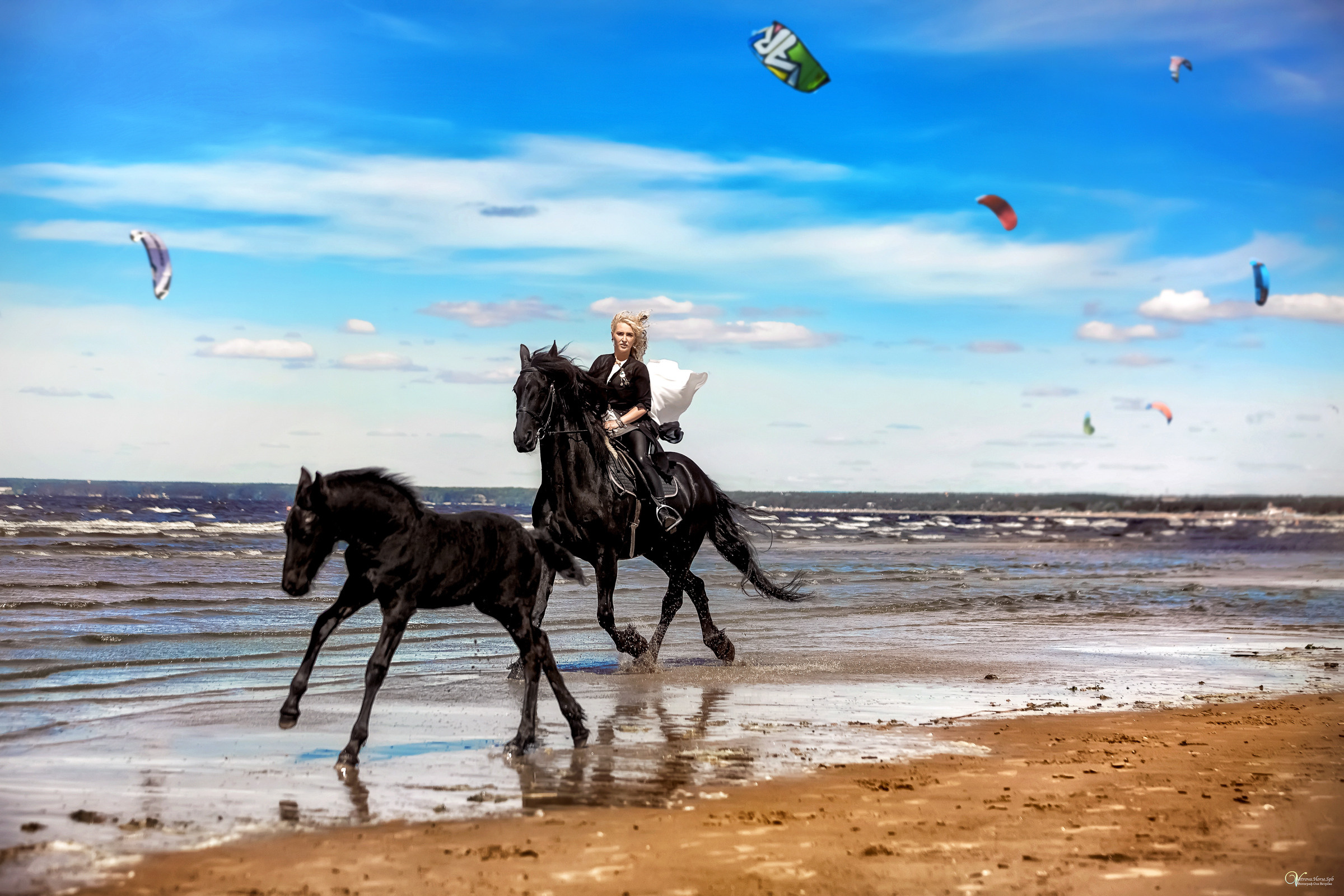 Фотосессия с фризской лошадью и жеребенком. Фотограф женский и мужской портрет Санкт-Петербург