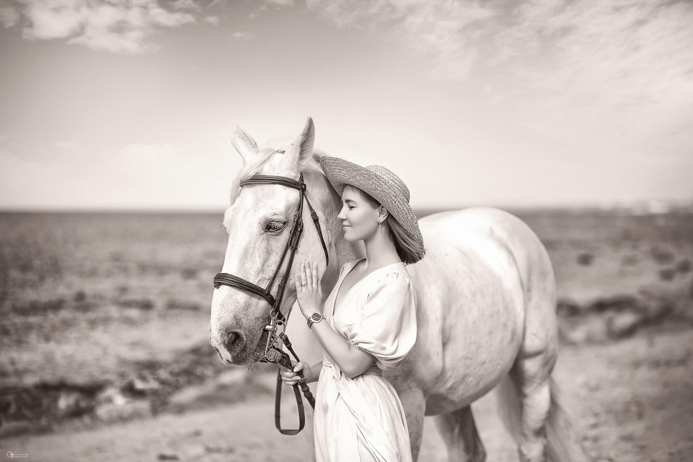 Фотосессия с белым конем на заливе. Фотограф женский и мужской портрет Санкт-Петербург