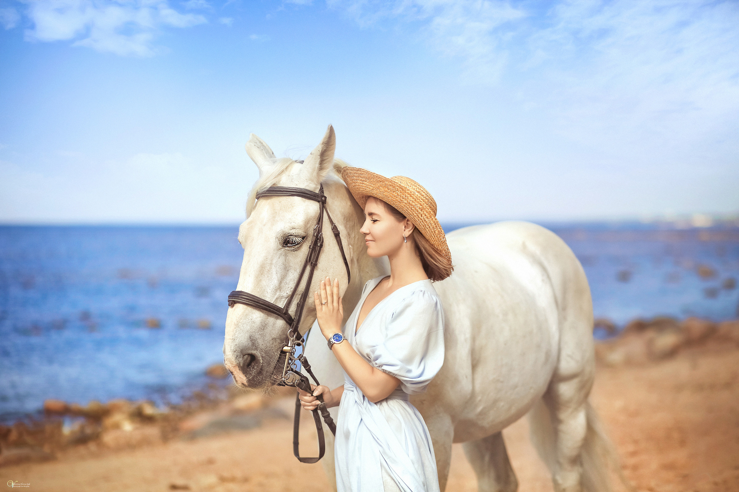 Фотосессия с белым конем на заливе. Фотограф женский и мужской портрет Санкт-Петербург