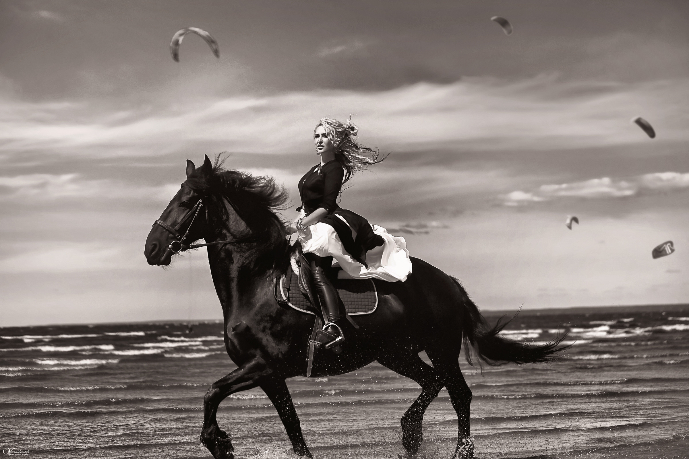 Фотосессия с фризской лошадью и жеребенком. Фотограф женский и мужской портрет Санкт-Петербург