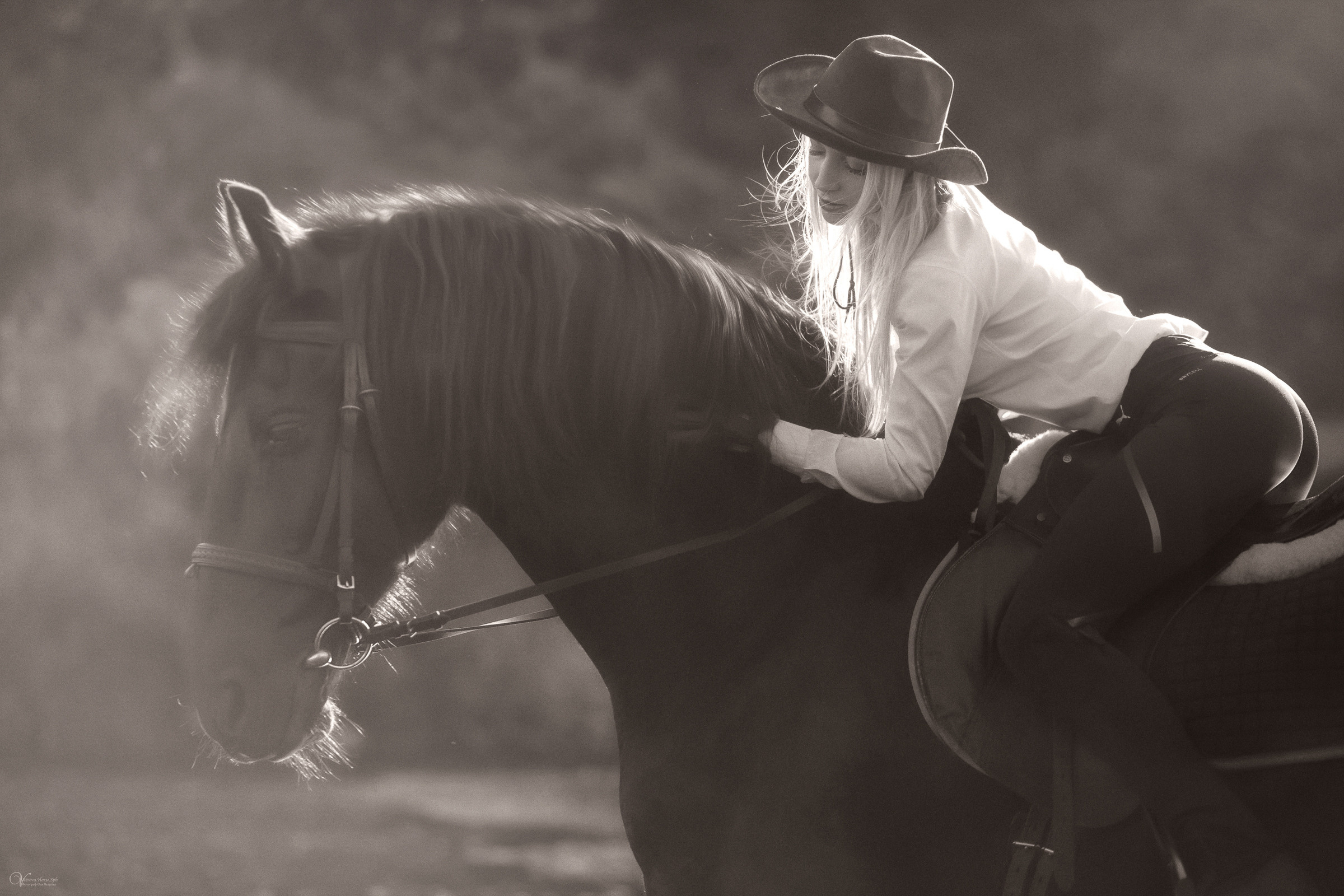 Съемка с лошадью на водопаде. Фотограф женский и мужской портрет Санкт-Петербург