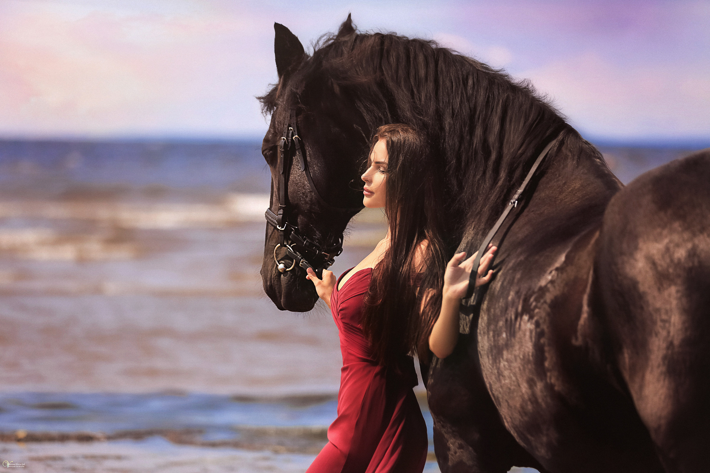 Фотосессия с лошадьми на закате. Фотограф женский и мужской портрет Санкт-Петербург