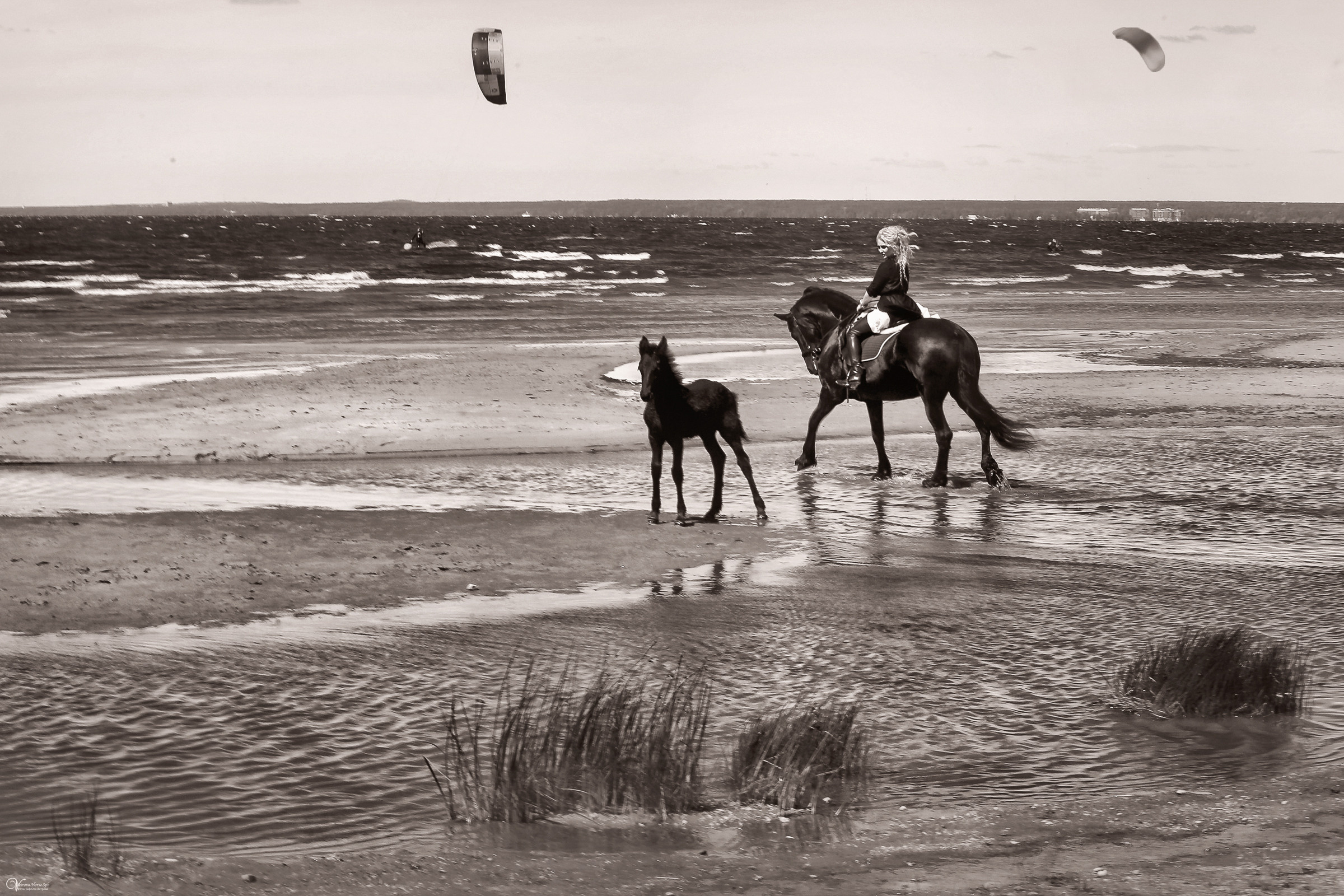Света и Персей панорама. Фотограф женский и мужской портрет Санкт-Петербург