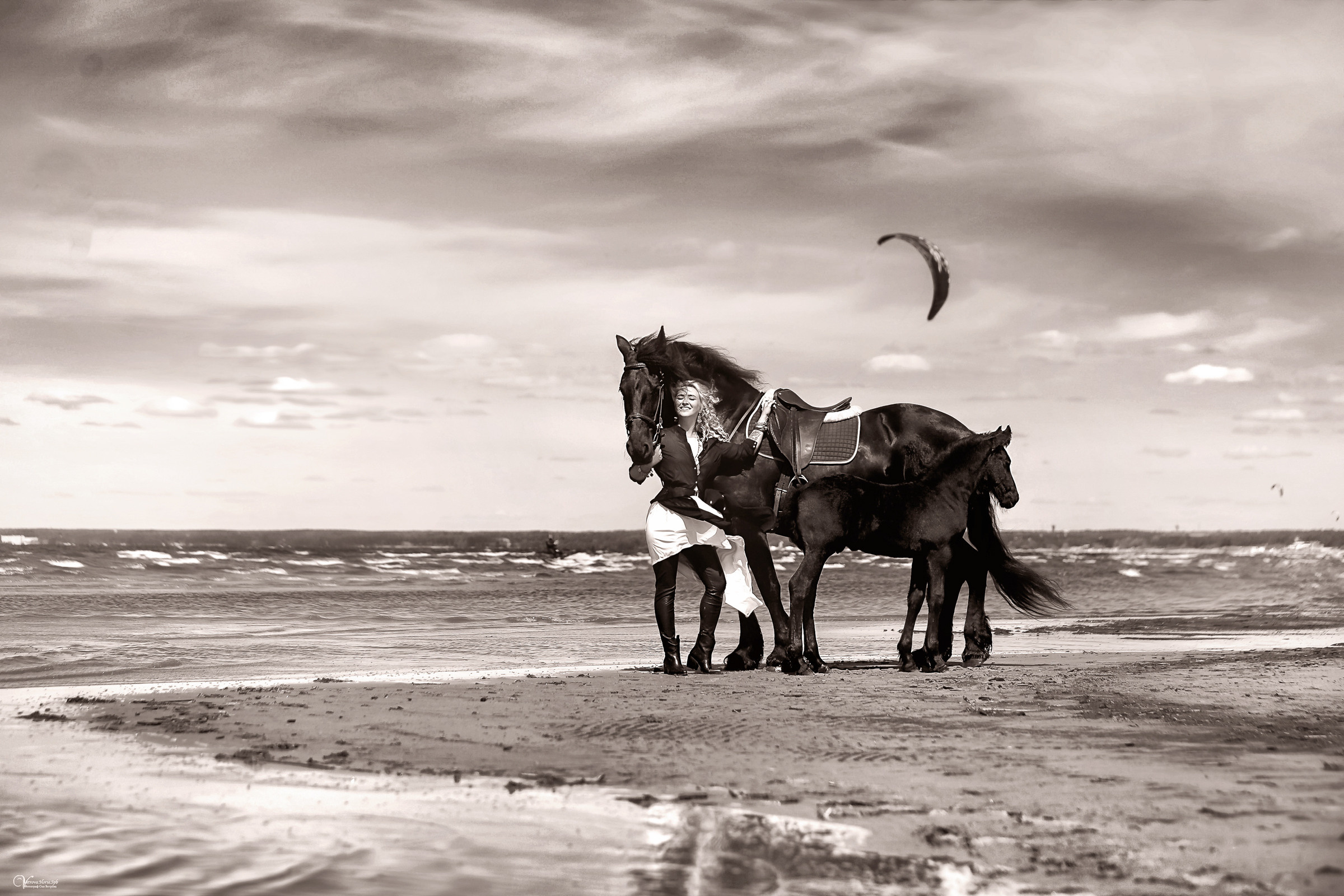 Фотосессия с фризской лошадью и жеребенком. Фотограф женский и мужской портрет Санкт-Петербург