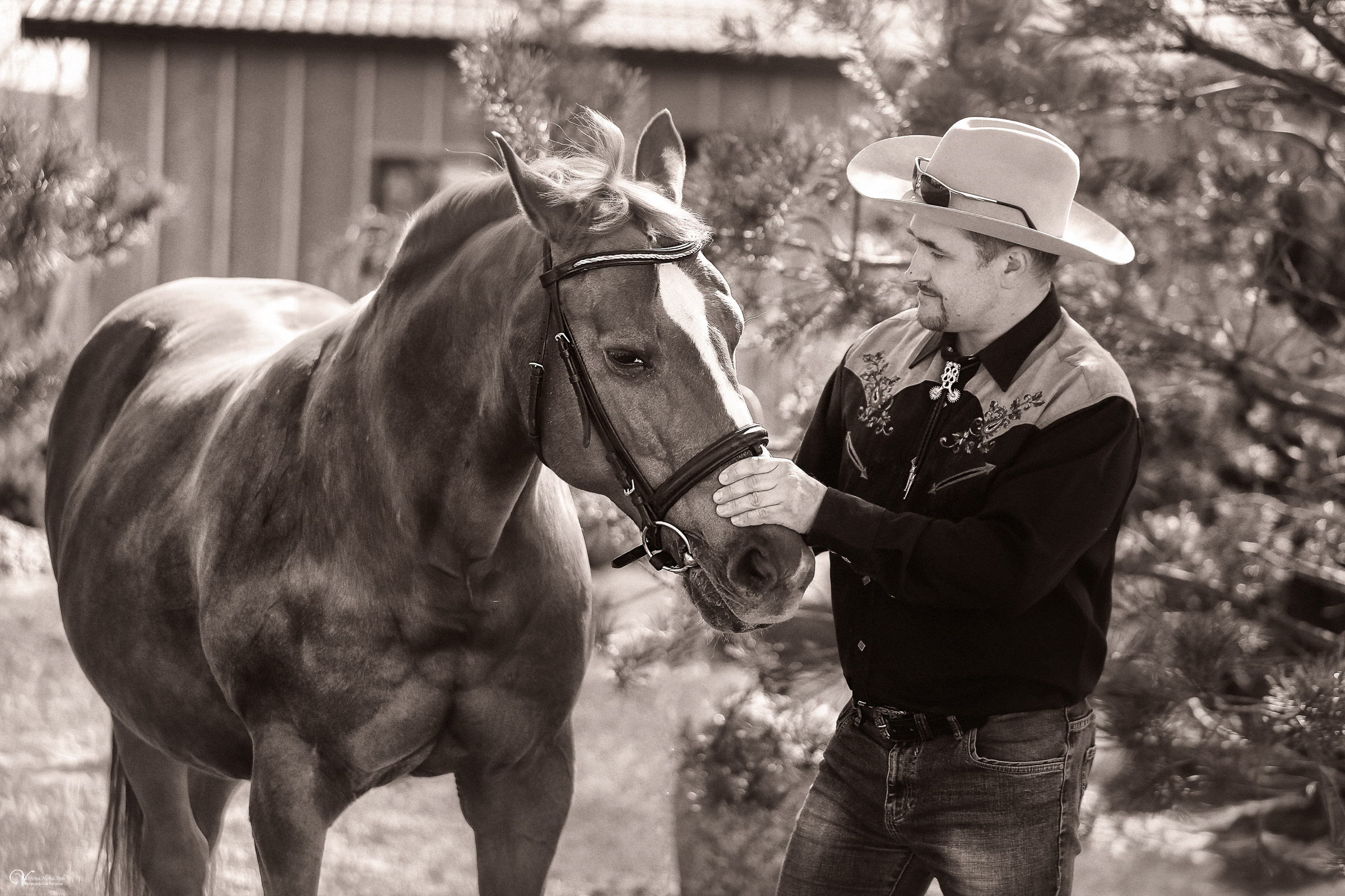 Конные фотосессии на заливе. Фотограф женский и мужской портрет Санкт-Петербург