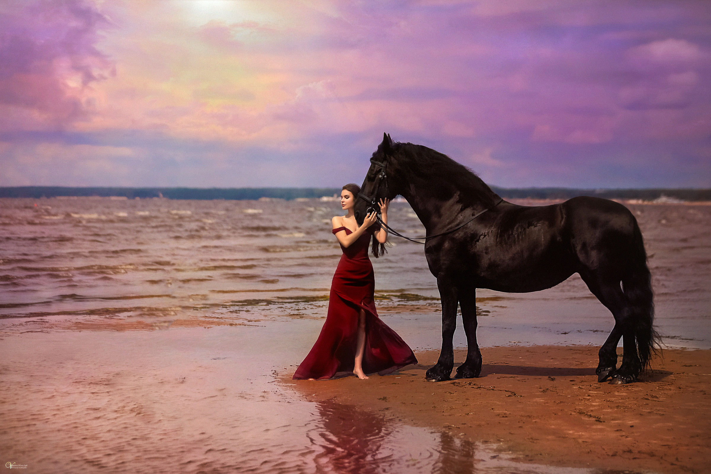Фотосессия с лошадьми на закате. Фотограф женский и мужской портрет Санкт-Петербург