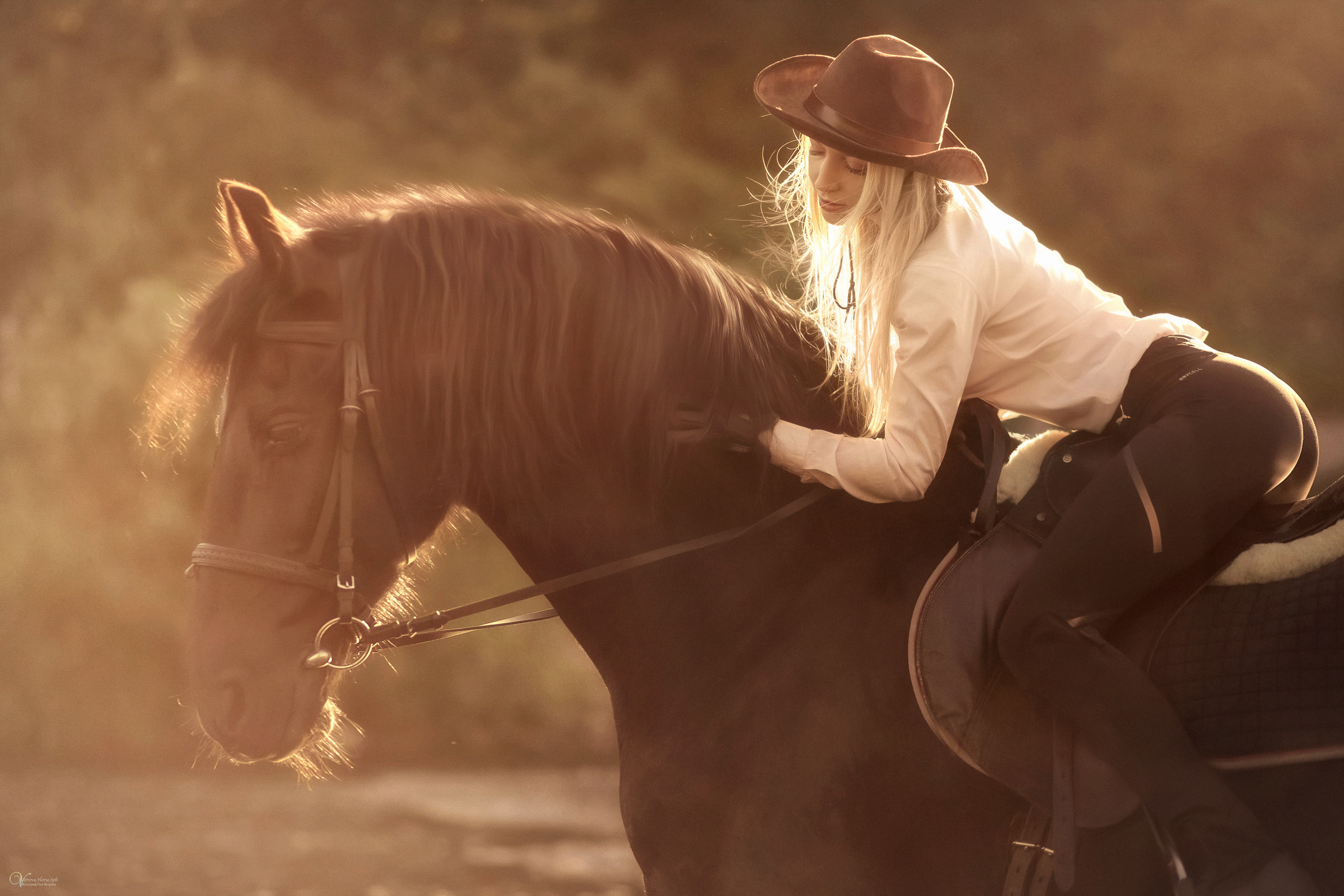 Съемка с лошадью на водопаде. Фотограф женский и мужской портрет Санкт-Петербург