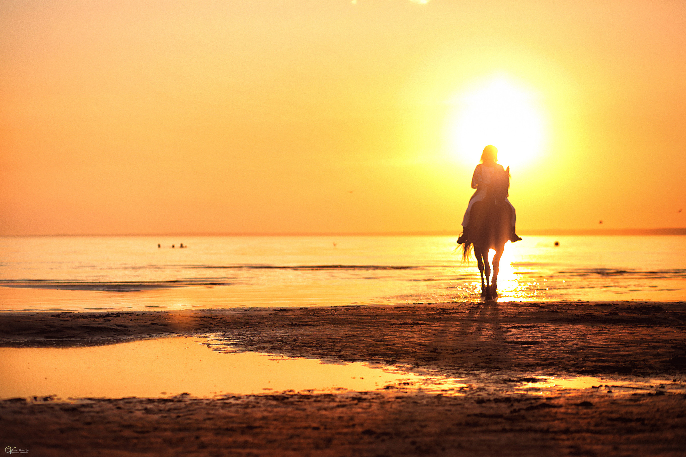 Фото-прогулка на лошадях в СПБ. Фотограф женский и мужской портрет Санкт-Петербург