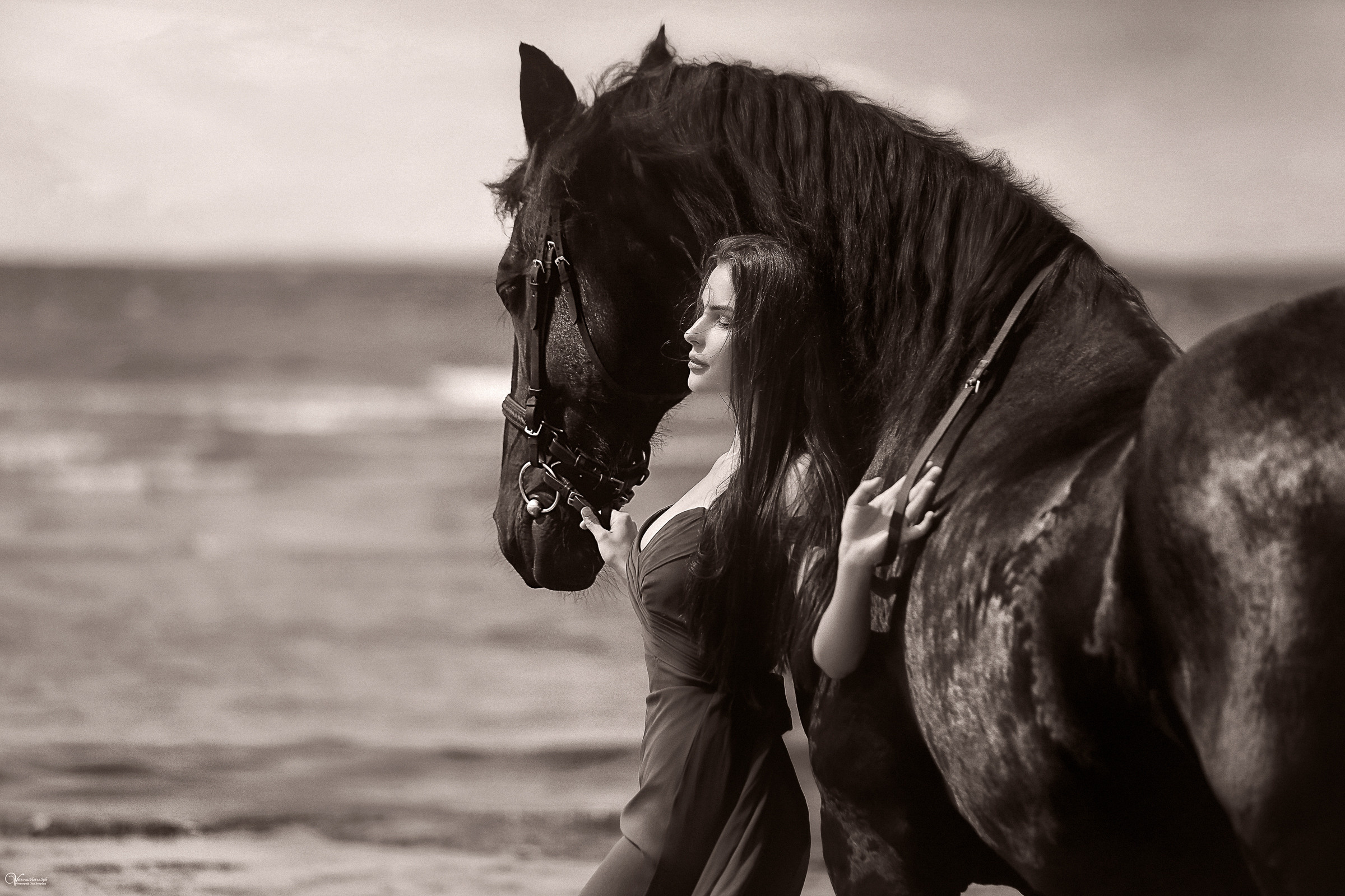 Фотосессия с лошадьми на закате. Фотограф женский и мужской портрет Санкт-Петербург
