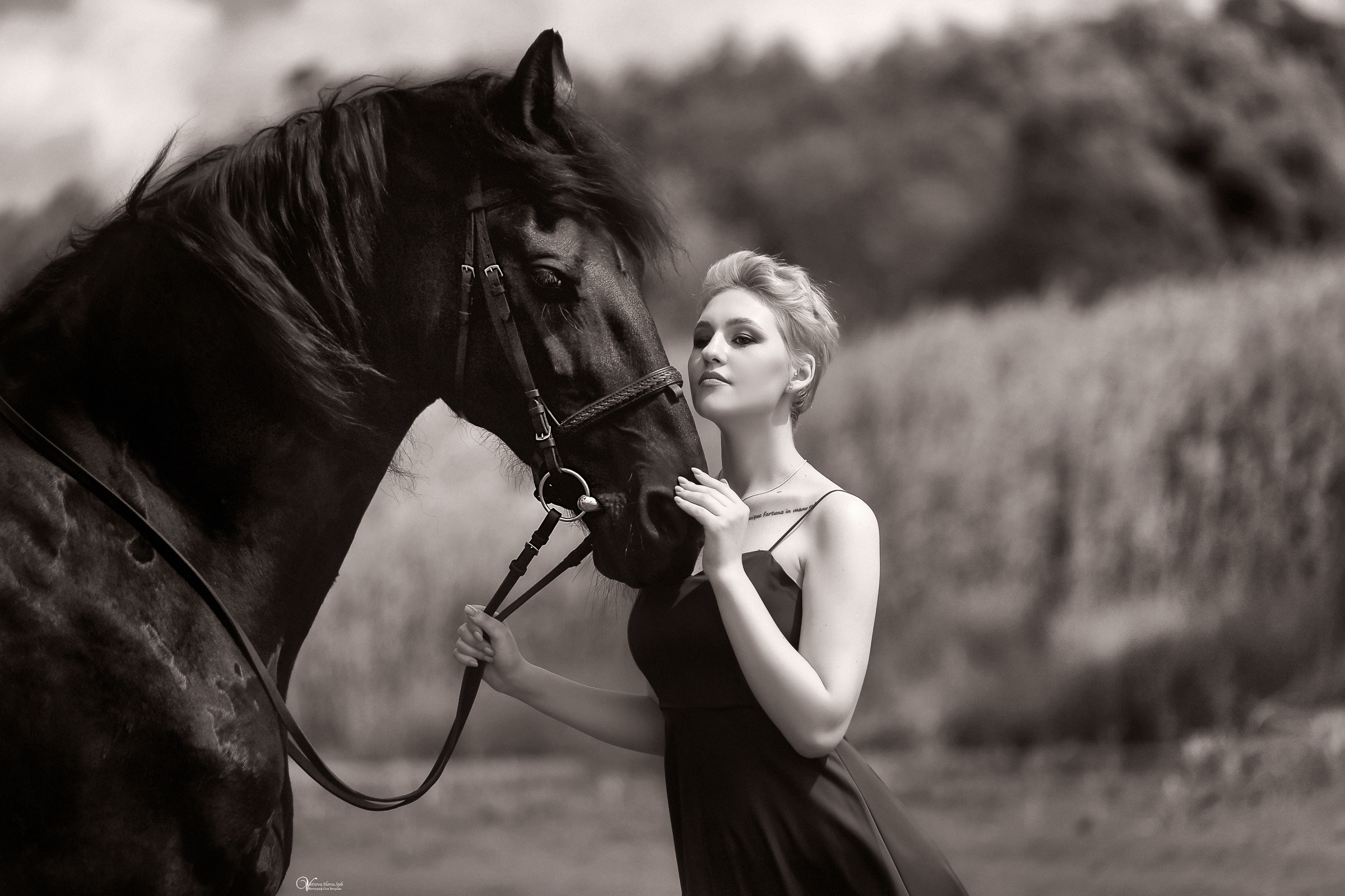 Фотосессия с конем  на берегу в СПБ. Фотограф женский и мужской портрет Санкт-Петербург