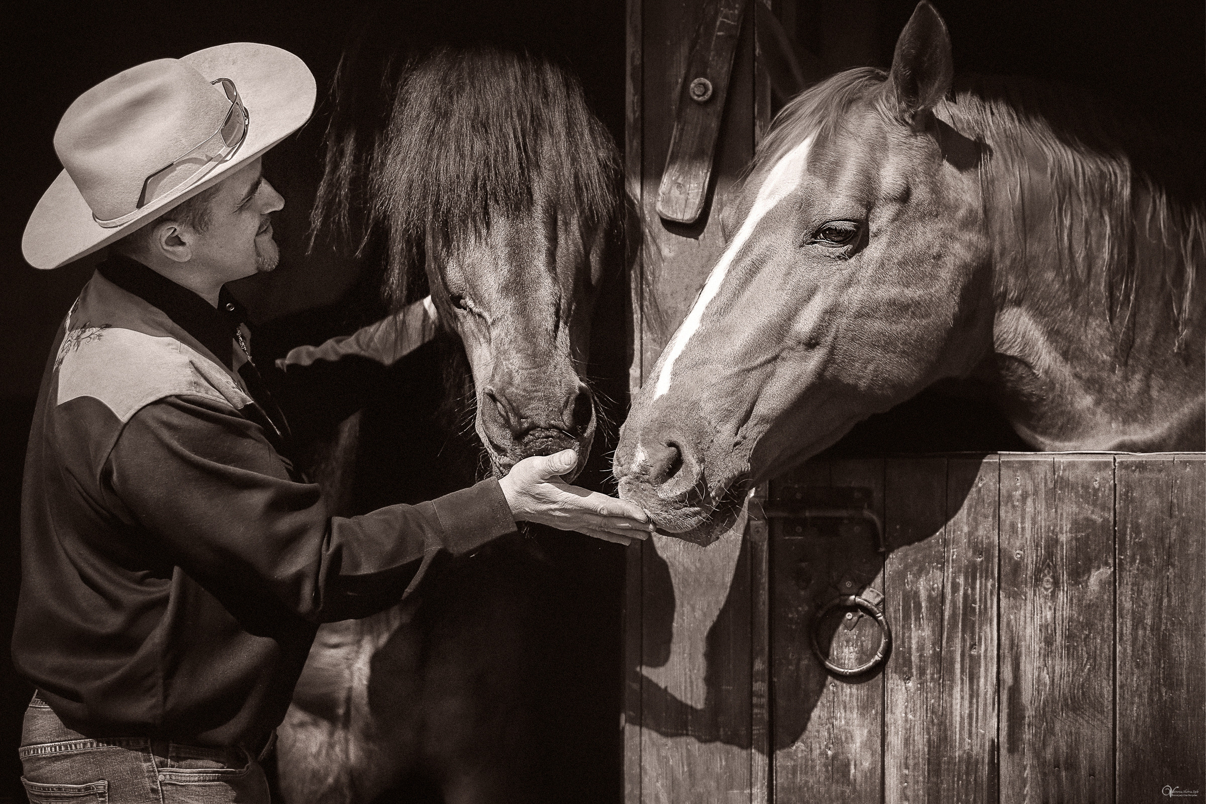 Конные фотосессии на заливе. Фотограф женский и мужской портрет Санкт-Петербург