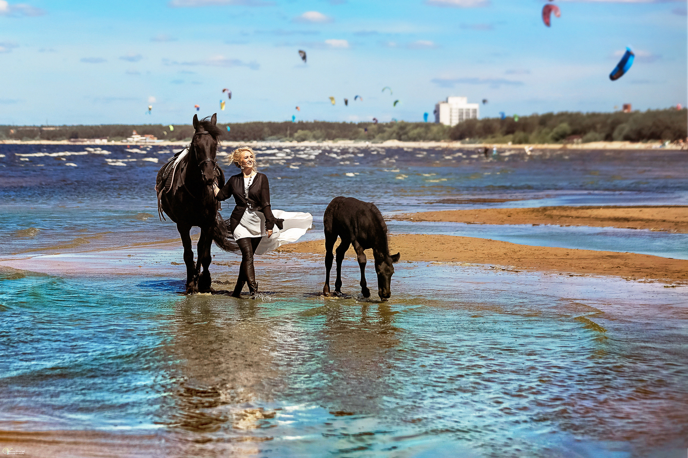Фотосессия с фризской лошадью и жеребенком. Фотограф женский и мужской портрет Санкт-Петербург