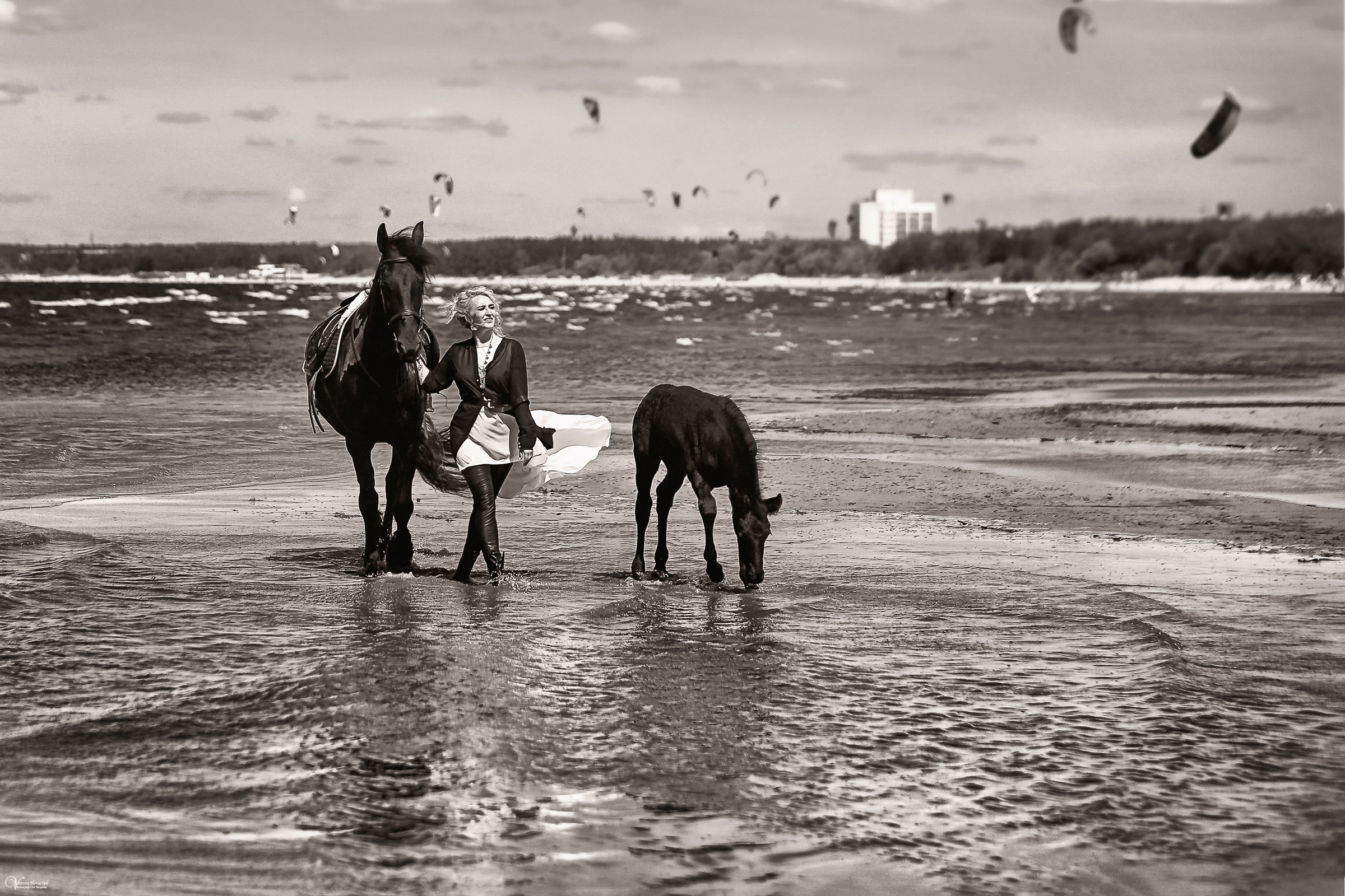 Фотосессия с фризской лошадью и жеребенком. Фотограф женский и мужской портрет Санкт-Петербург