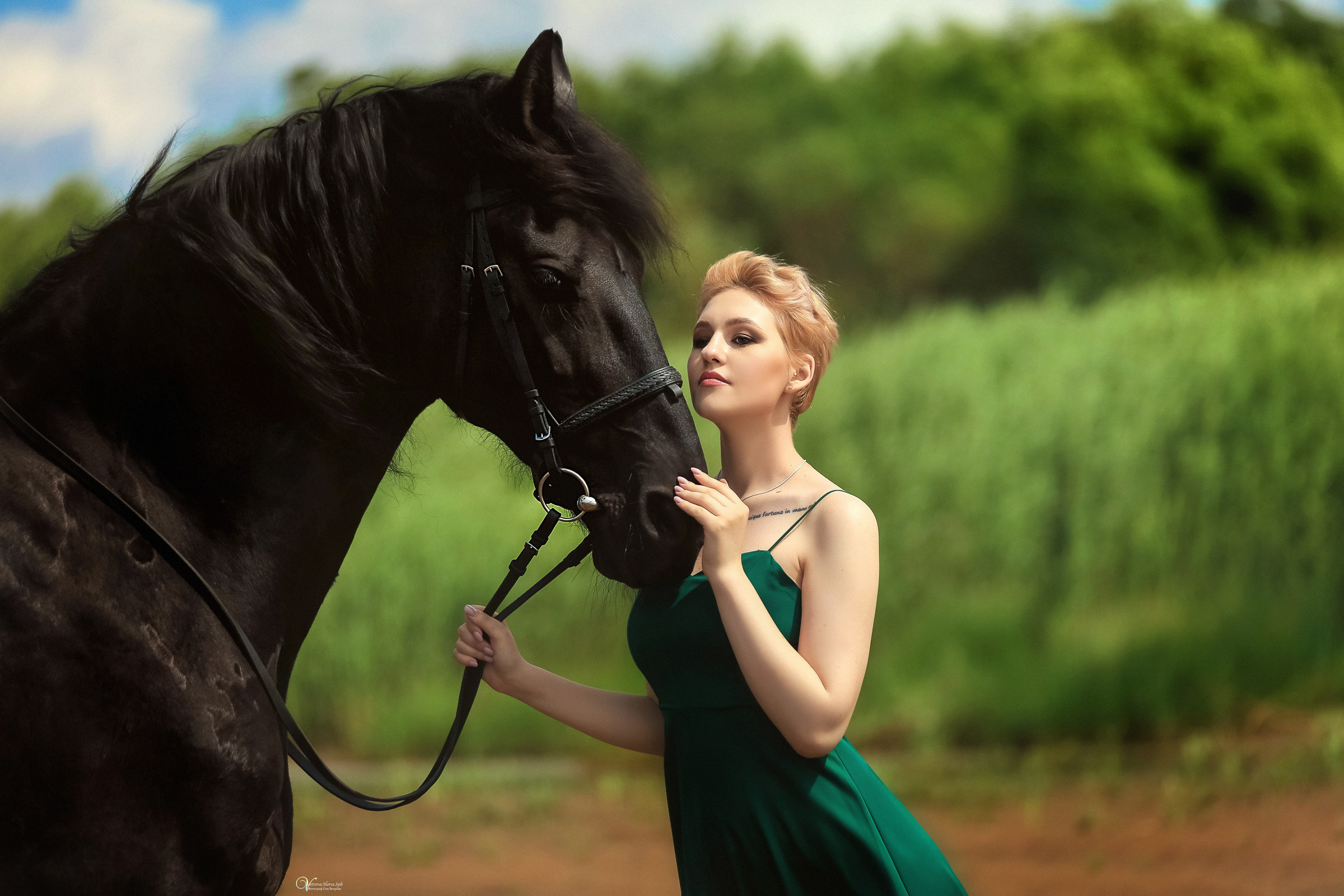 Фотосессия с конем  на берегу в СПБ. Фотограф женский и мужской портрет Санкт-Петербург