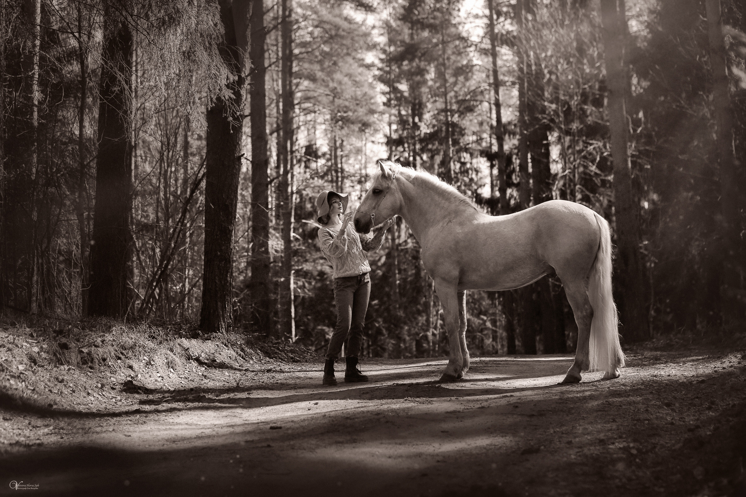Конная фотосессия в лесу в СПб. Фотограф женский и мужской портрет Санкт-Петербург