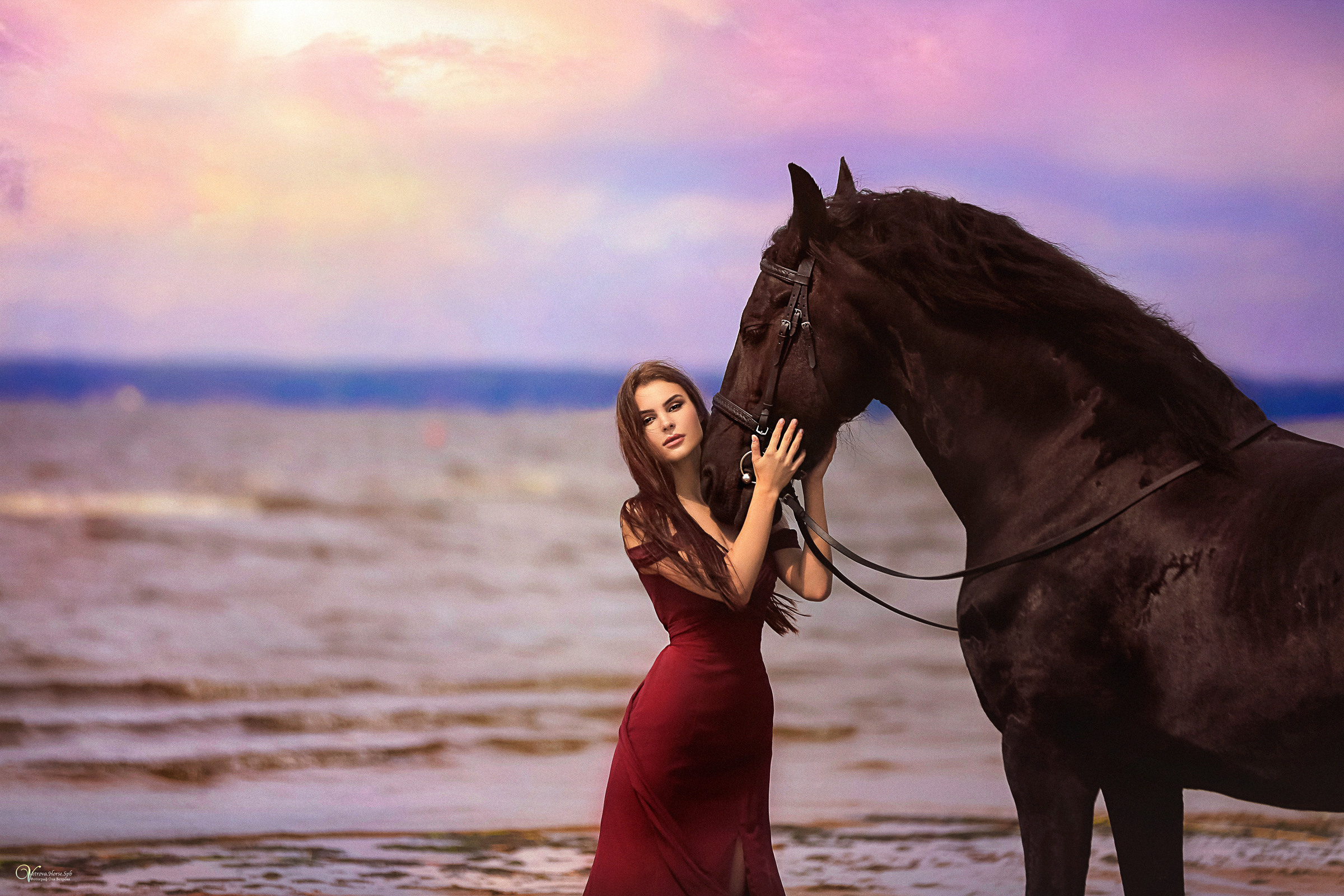 Фотосессия с лошадьми на закате. Фотограф женский и мужской портрет Санкт-Петербург