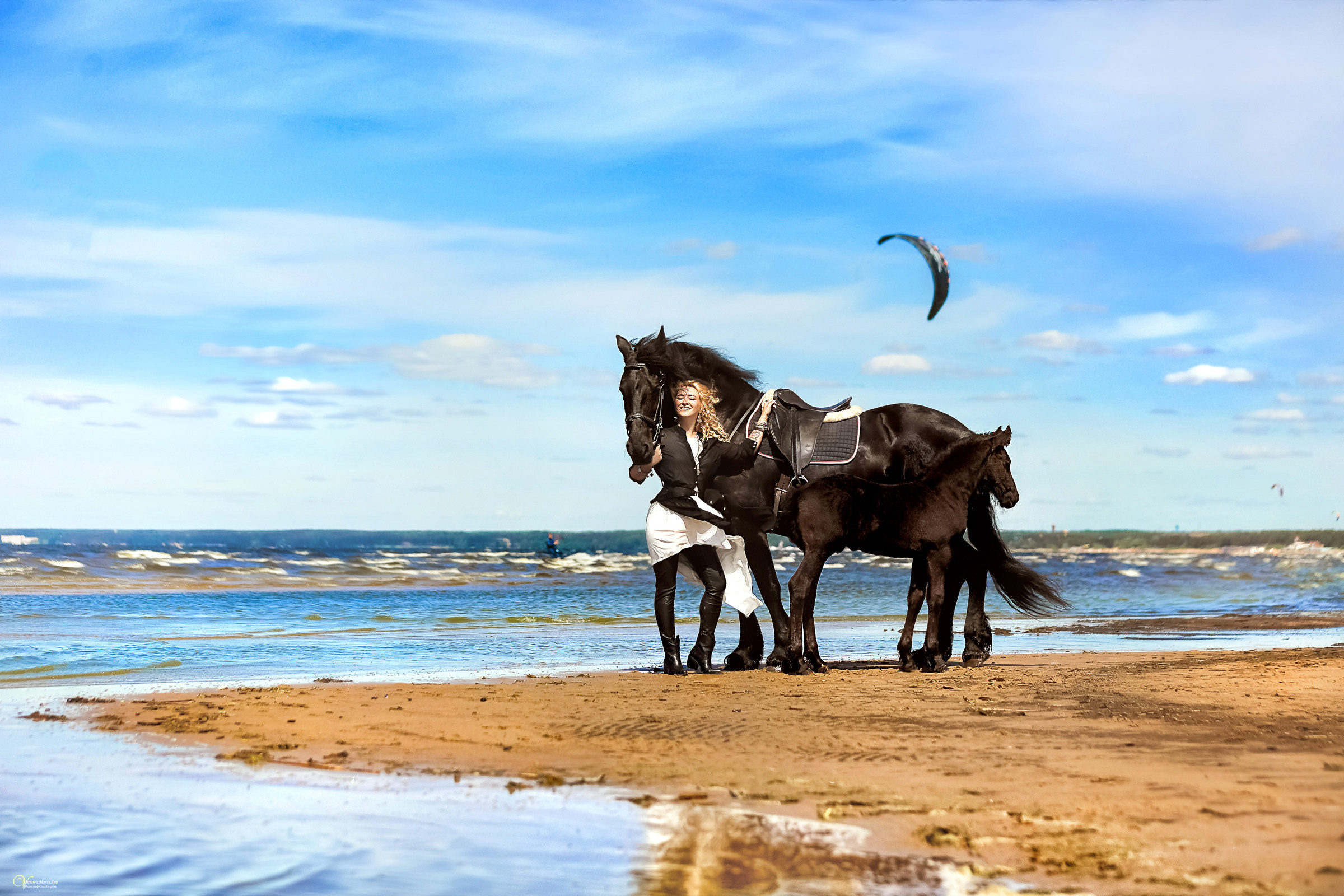 Фотосессия с фризской лошадью и жеребенком. Фотограф женский и мужской портрет Санкт-Петербург