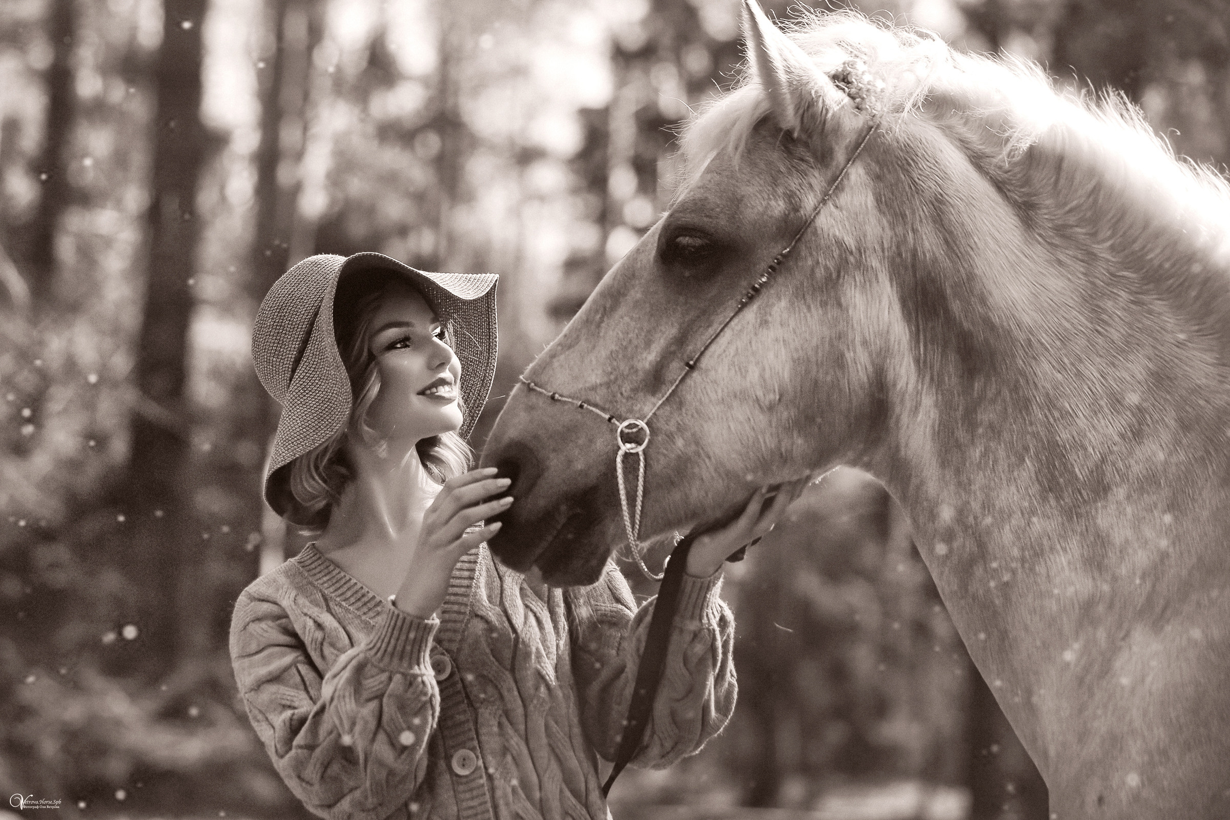 Конная фотосессия в лесу в СПб. Фотограф женский и мужской портрет Санкт-Петербург