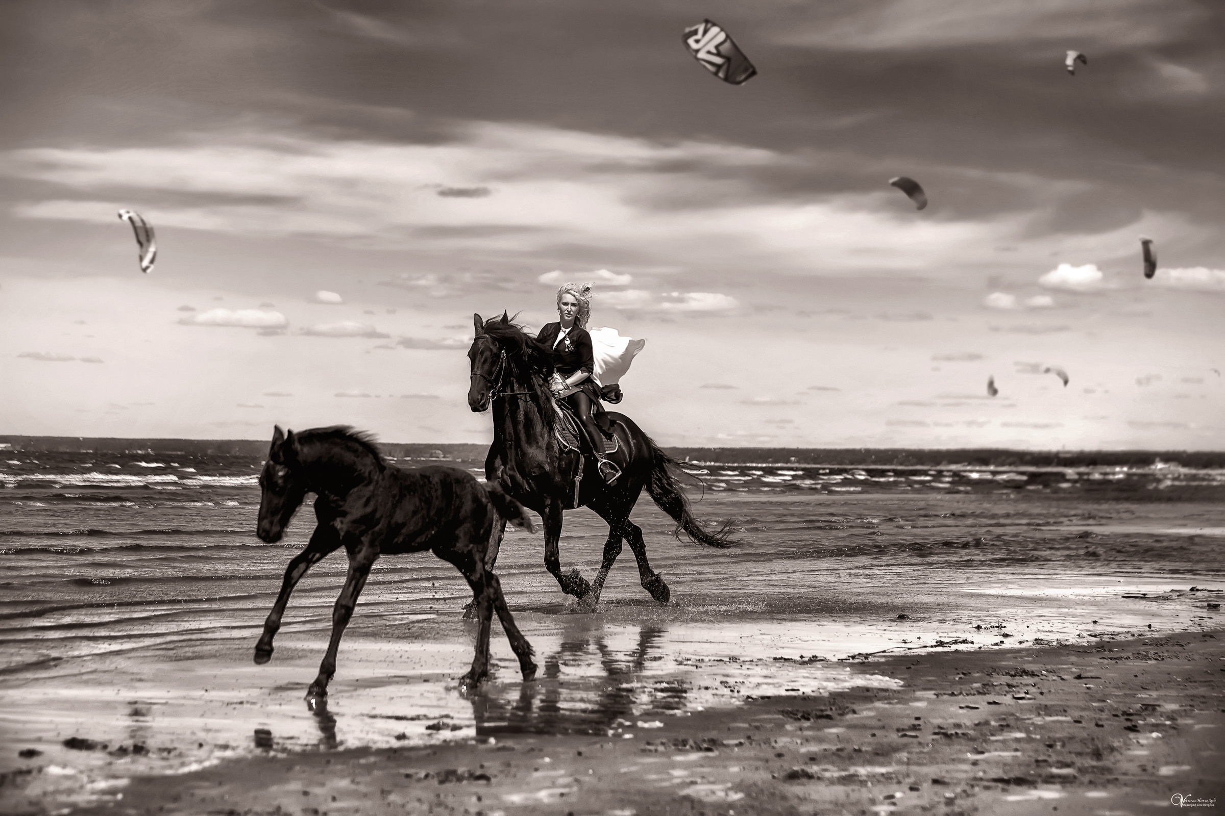 Фотосессия с фризской лошадью и жеребенком. Фотограф женский и мужской портрет Санкт-Петербург