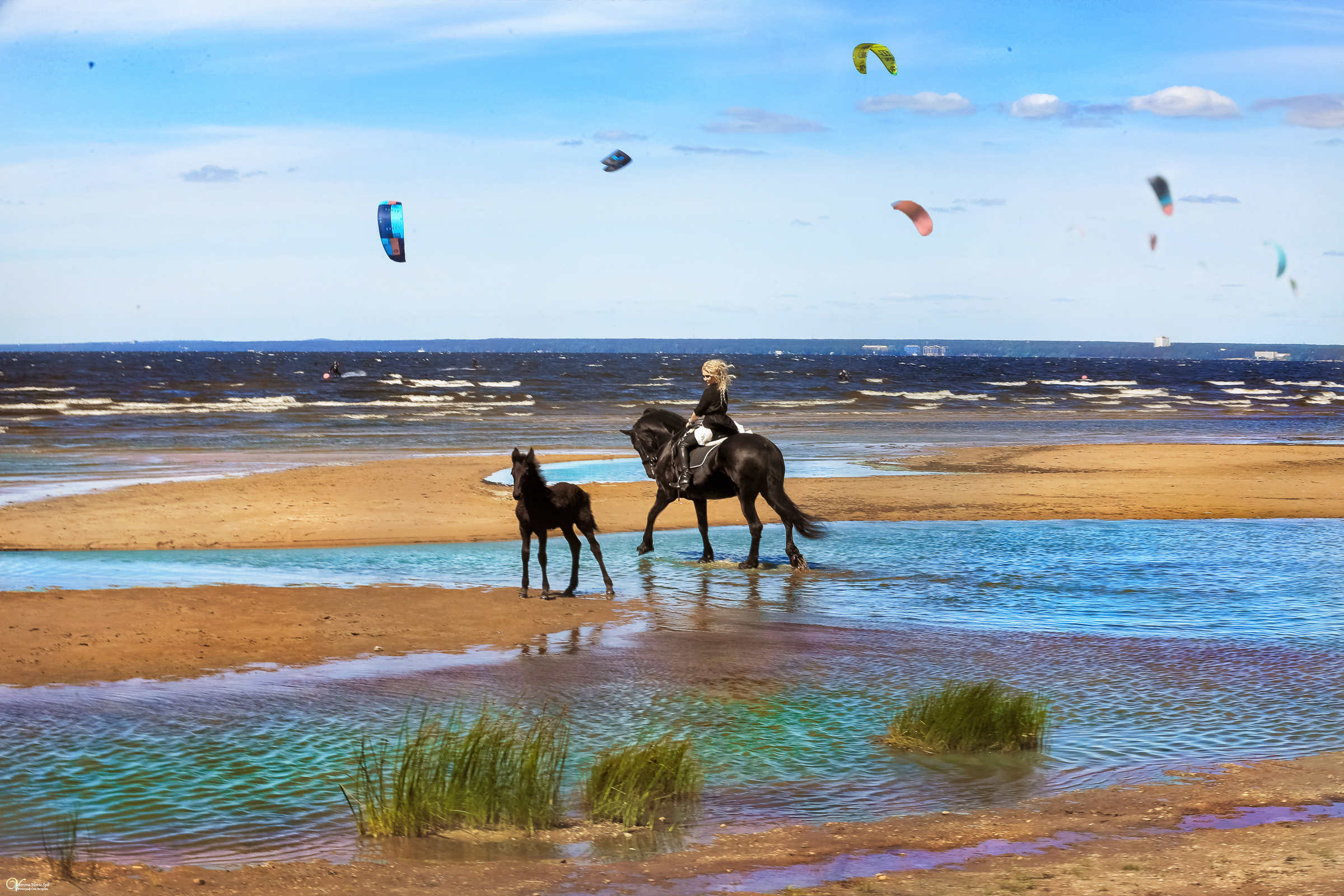 Фотосессия с фризской лошадью и жеребенком. Фотограф женский и мужской портрет Санкт-Петербург