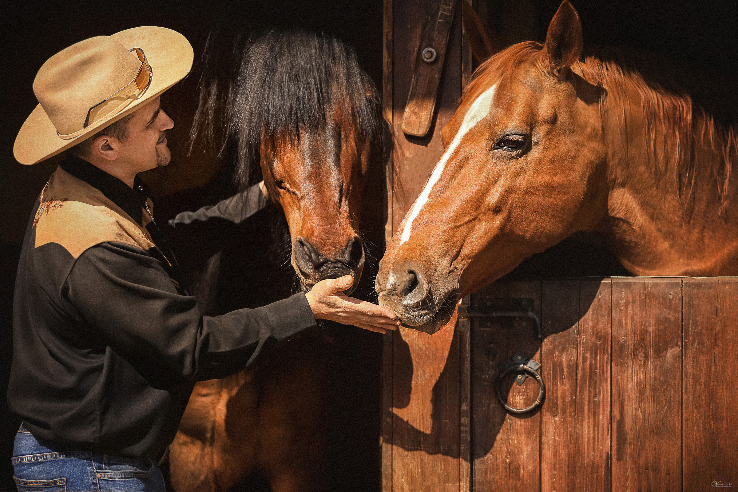 Конные фотосессии на заливе. Фотограф женский и мужской портрет Санкт-Петербург