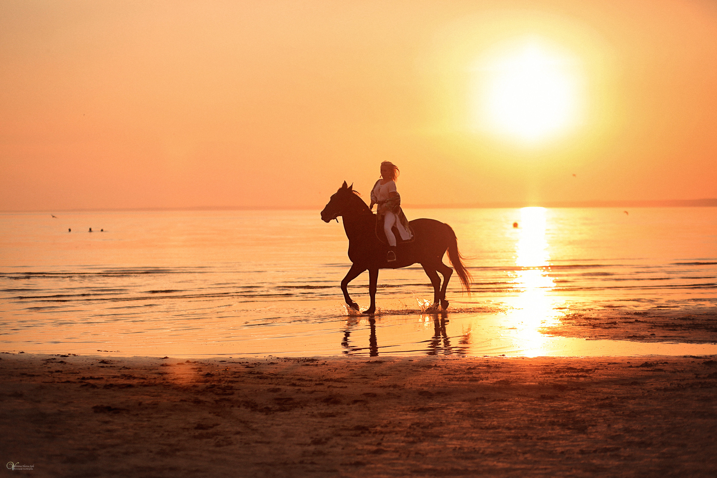 Фото-прогулка на лошадях в СПБ. Фотограф женский и мужской портрет Санкт-Петербург
