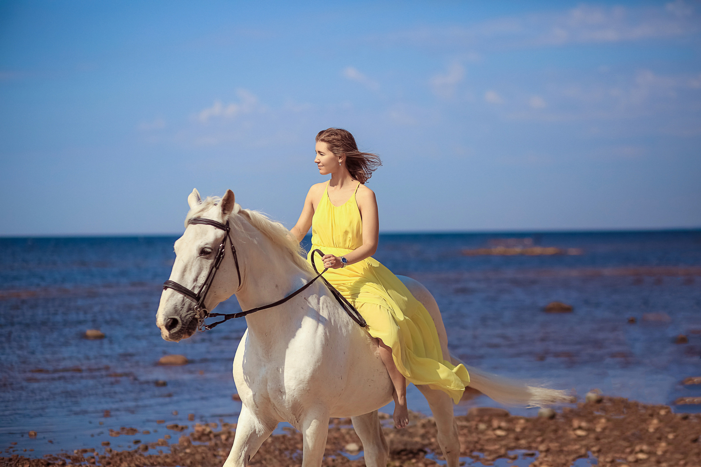 Фотосессия с белым конем в Санкт-Петербурге. Фотограф женский и мужской портрет Санкт-Петербург