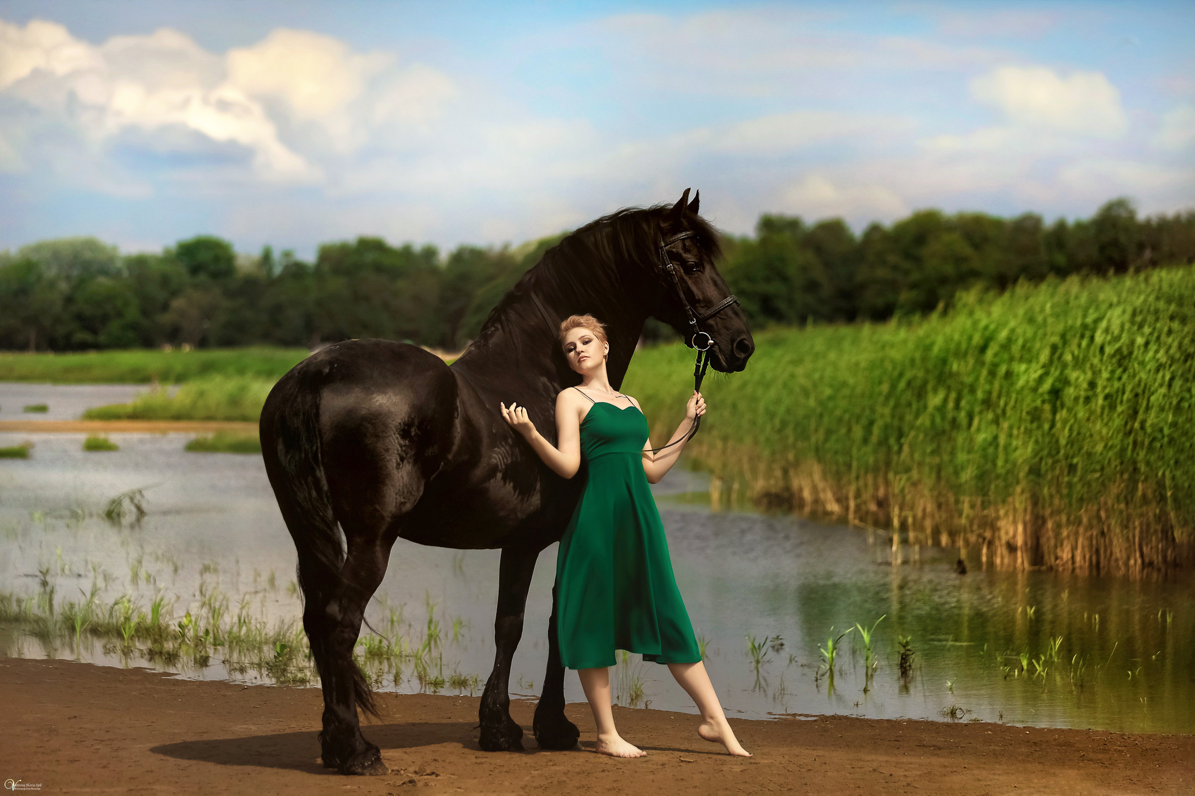 Фотосессия с конем  на берегу в СПБ. Фотограф женский и мужской портрет Санкт-Петербург