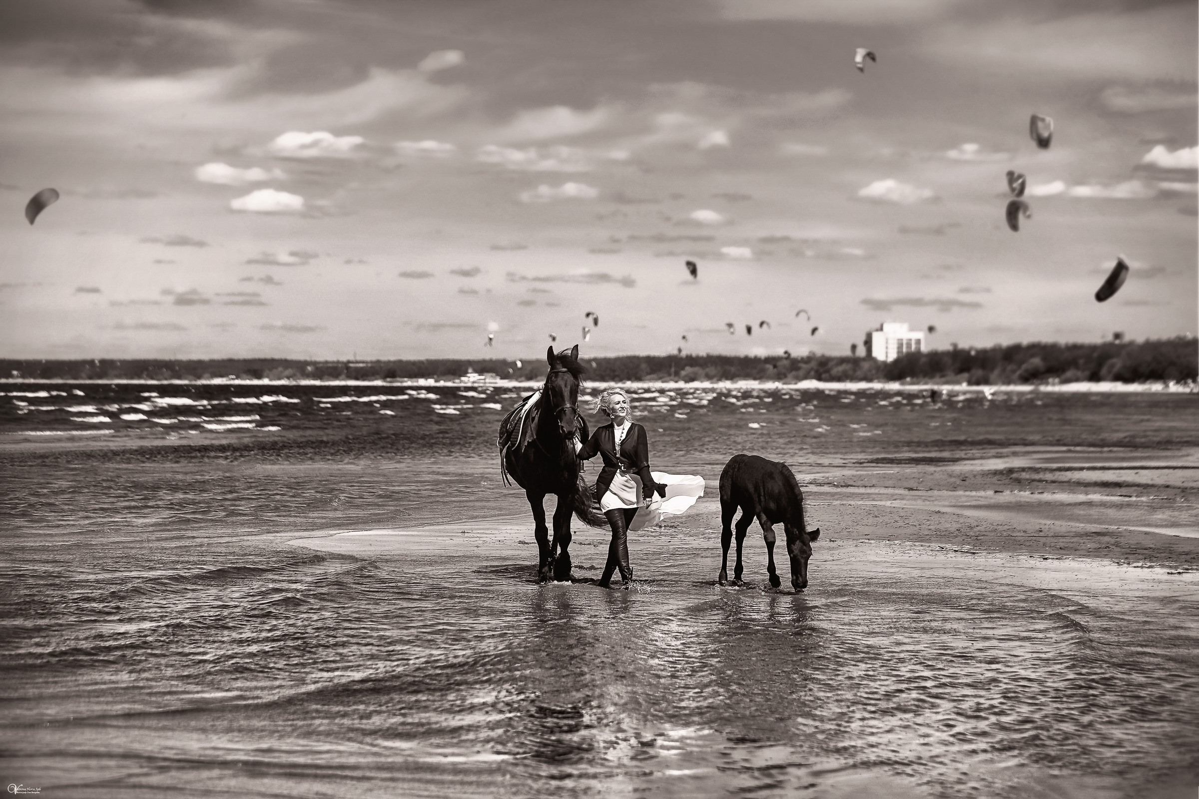 Фотосессия с фризской лошадью и жеребенком. Фотограф женский и мужской портрет Санкт-Петербург