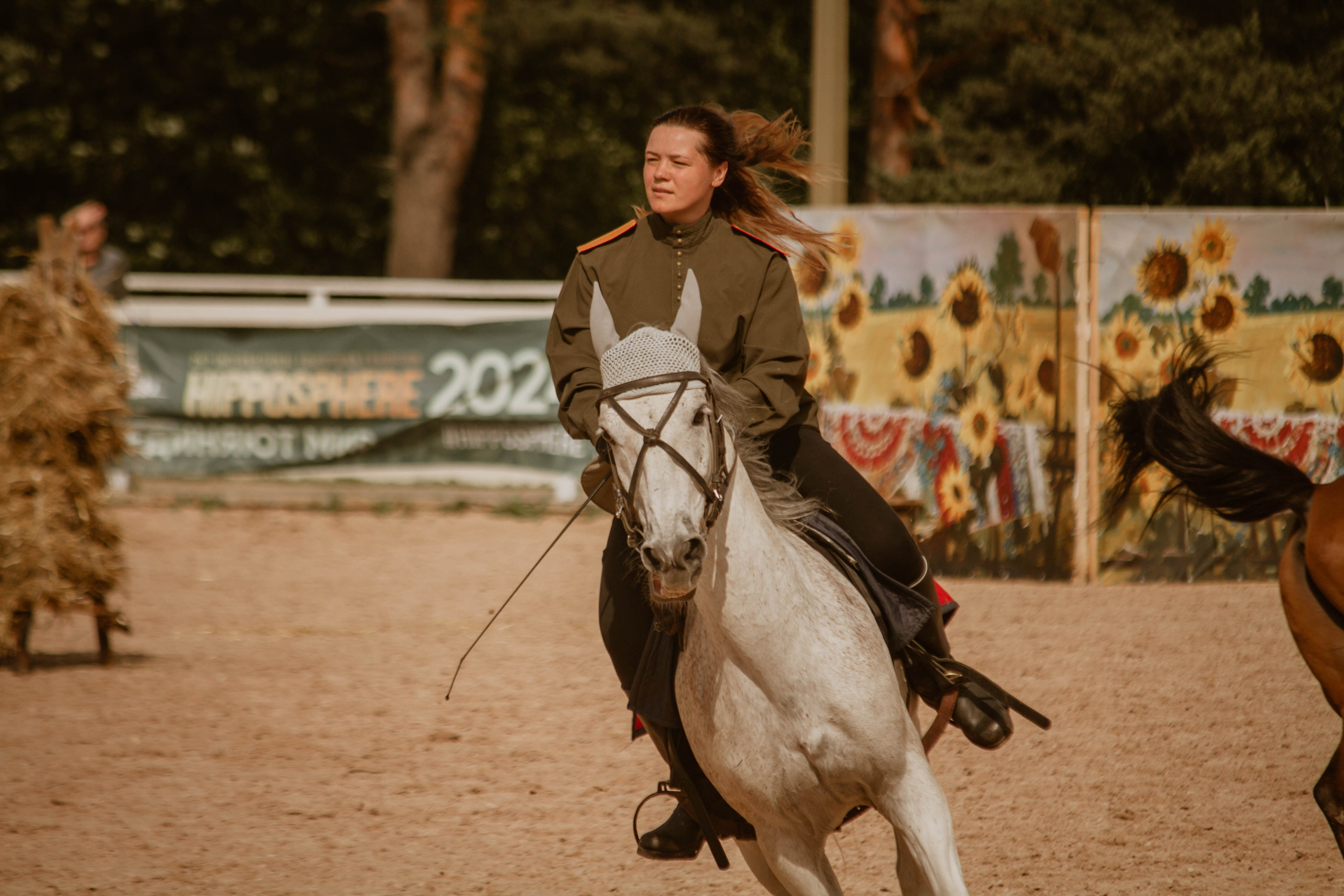 ИППОСФЕРА — Международная конная выставка. Создадим шедевр? Виталина и её фотоискусство