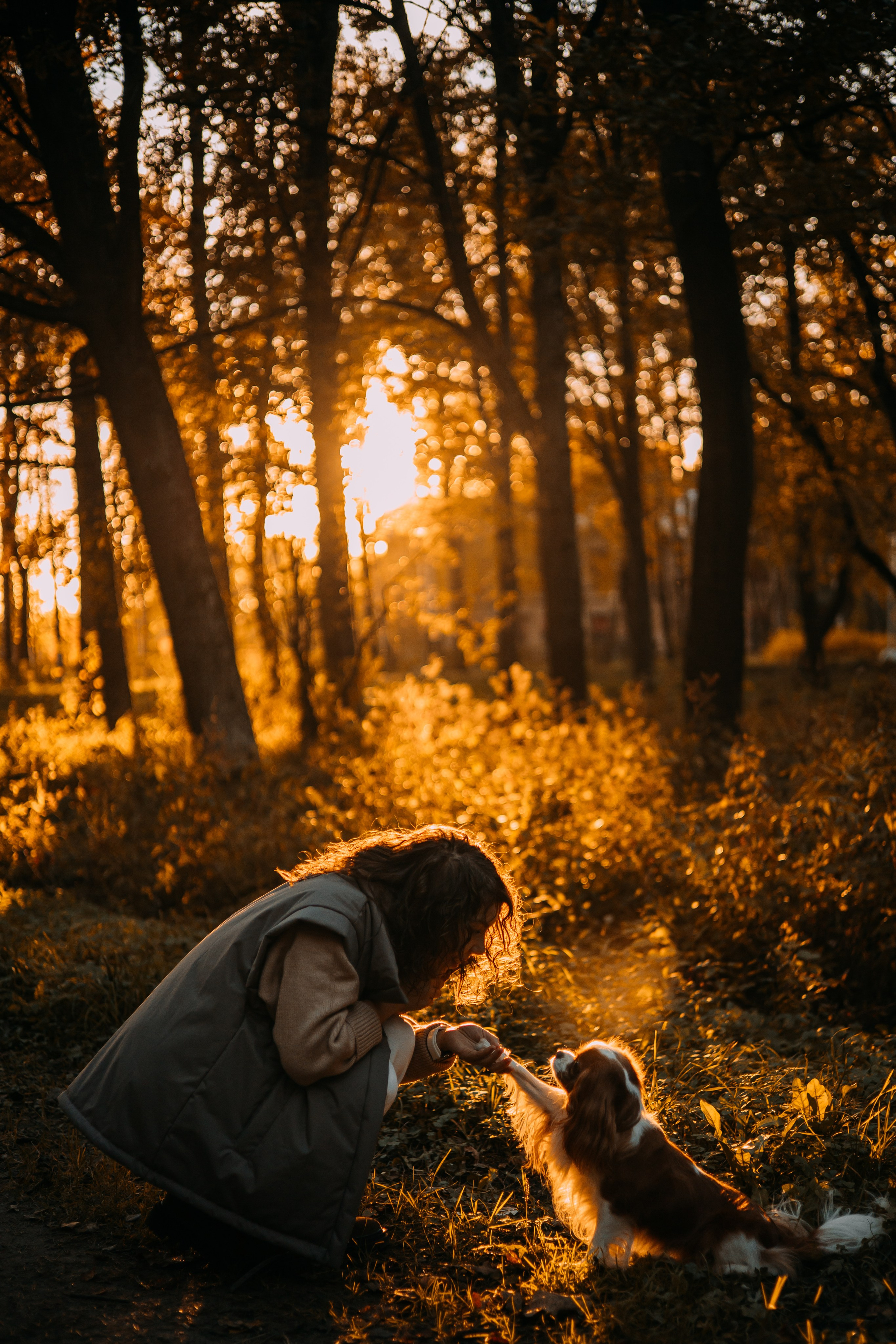 Снежанна и Тесси. Фотограф — анималист •love-story•|Санкт-Петербург