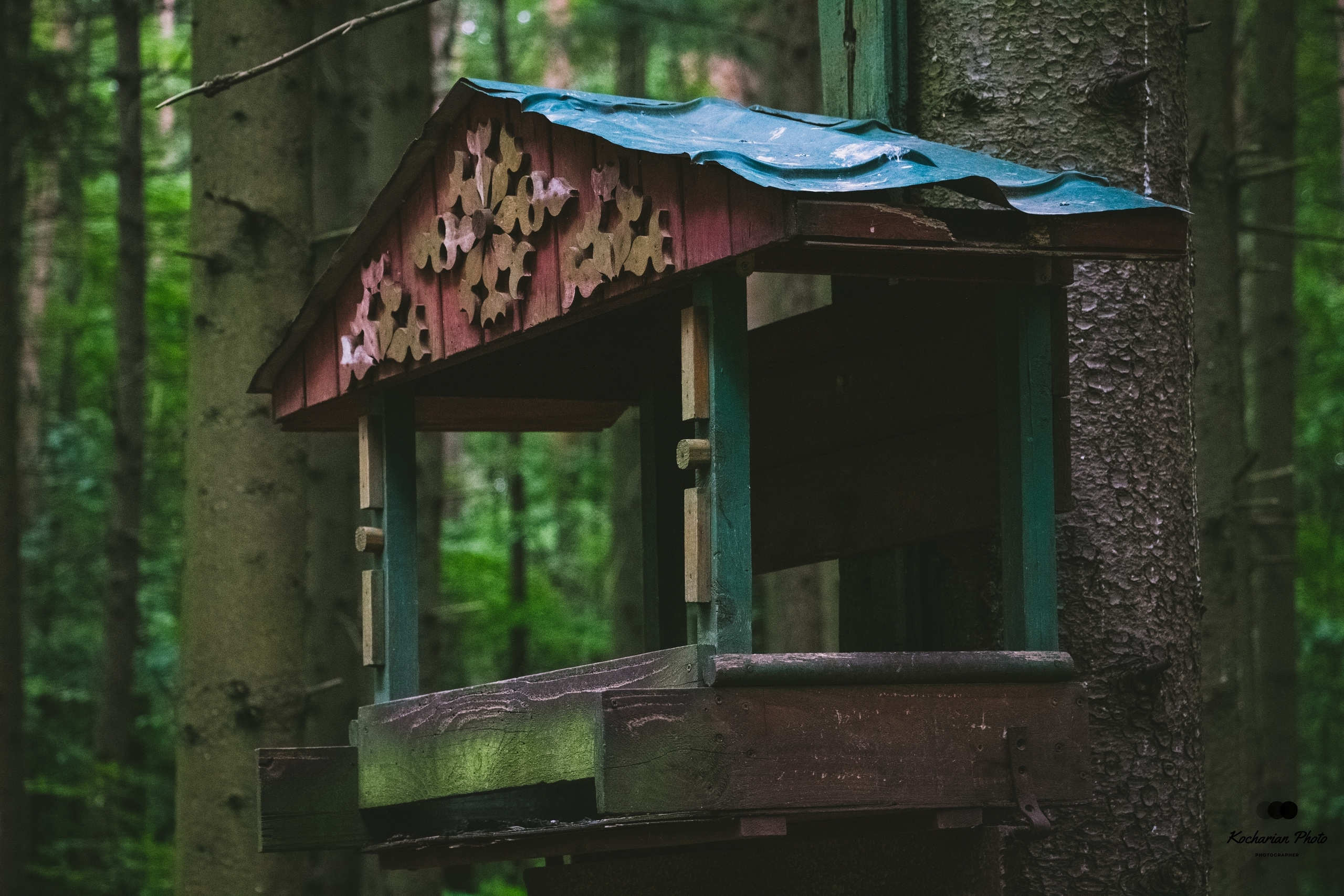 Пейзажи и природа. Photographer K.A.D